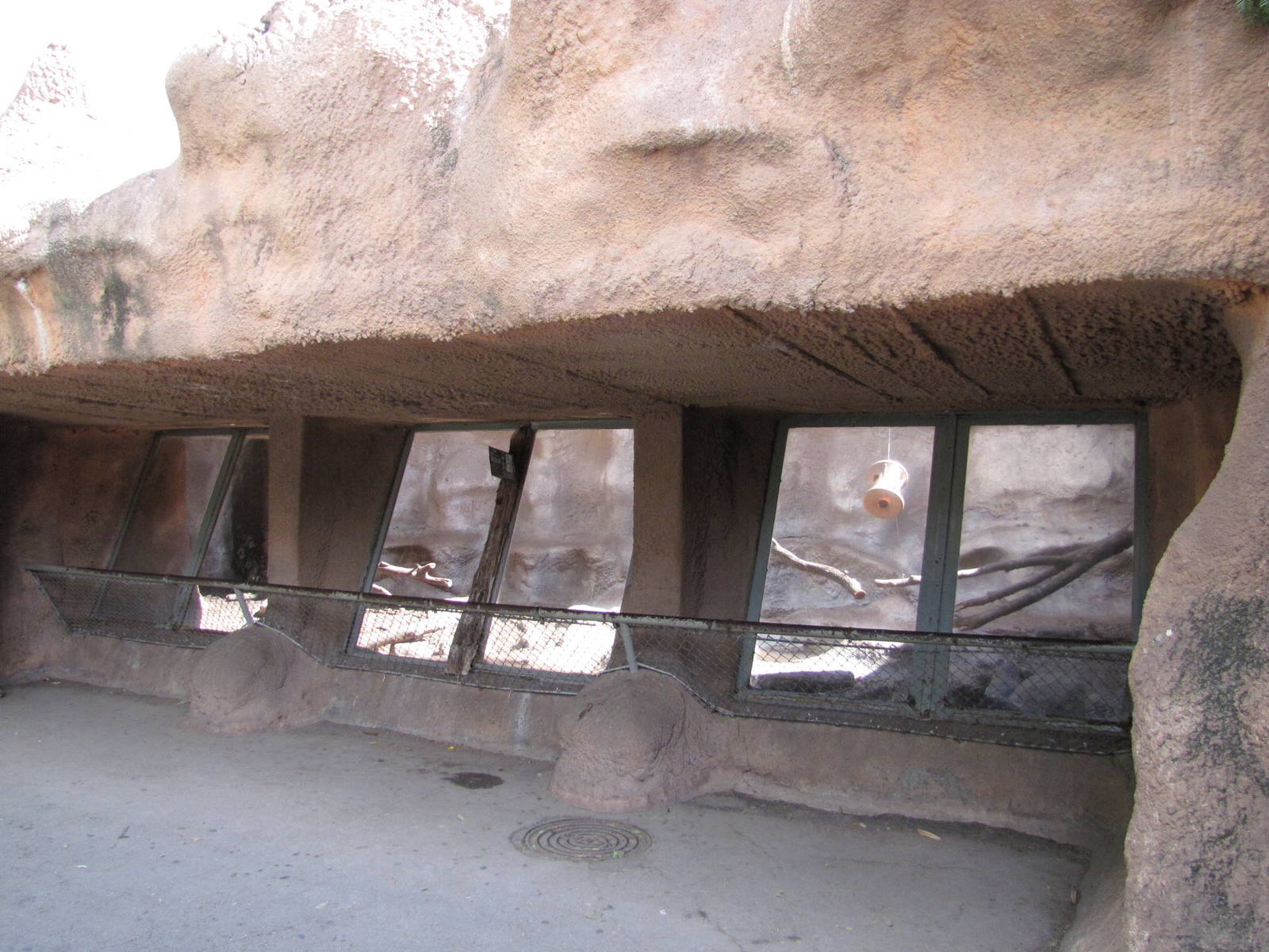 Gladys Porter Zoo 2010 - Front of the Serval exhibit