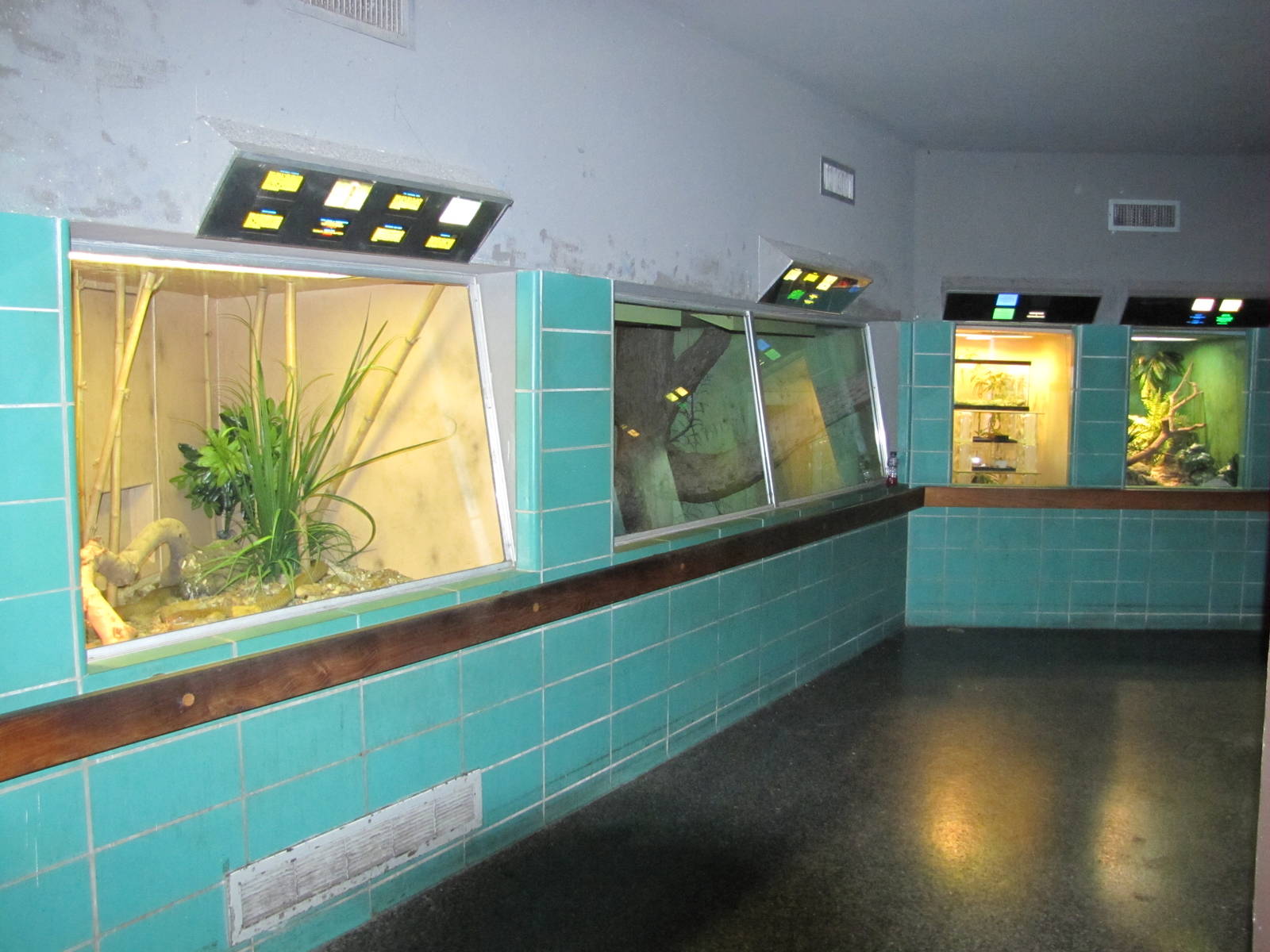 Gladys Porter Zoo 2010 - General view in the Herpetarium