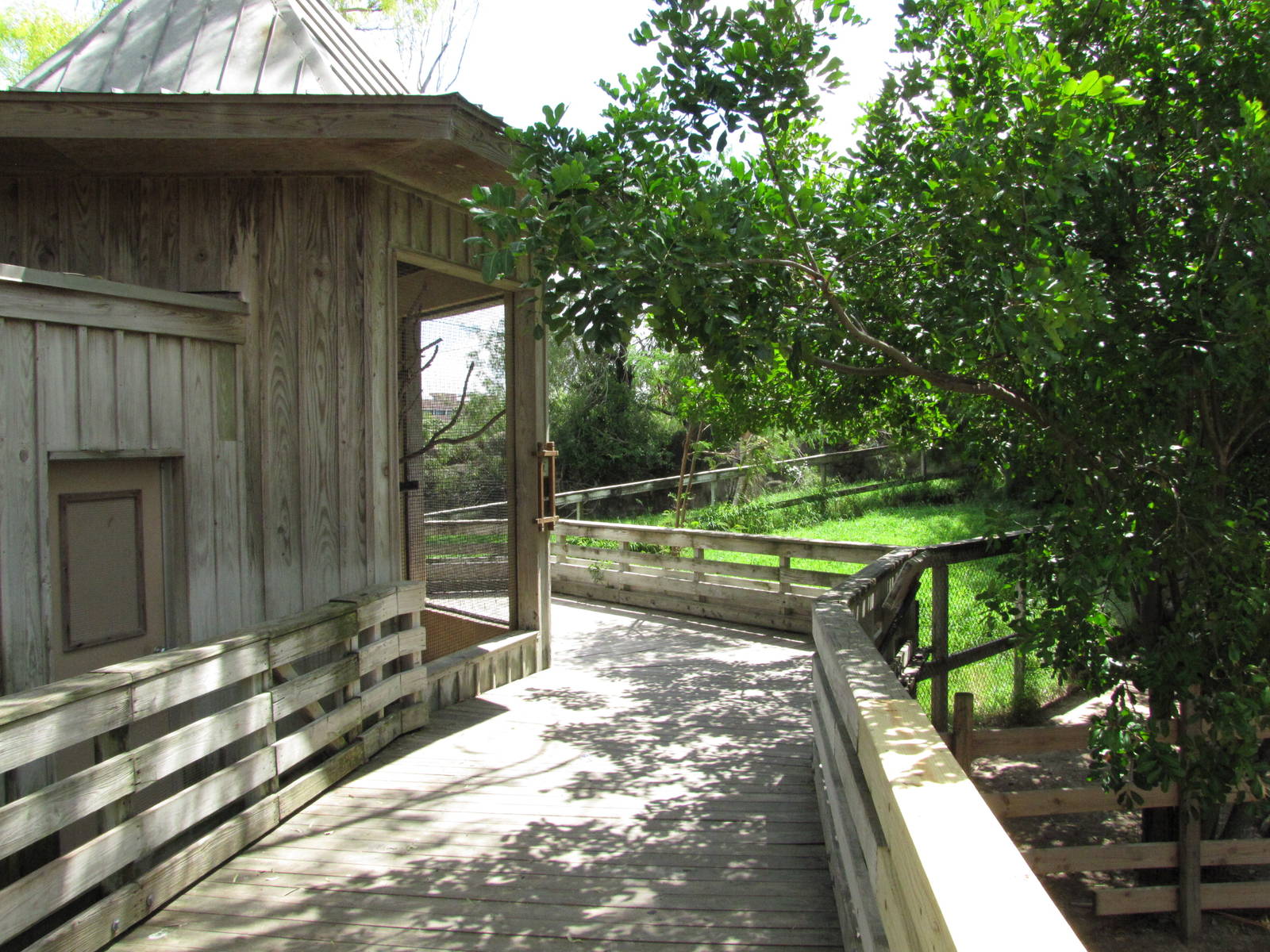 Gladys Porter Zoo 2010 - General view in the Indo-Australian section