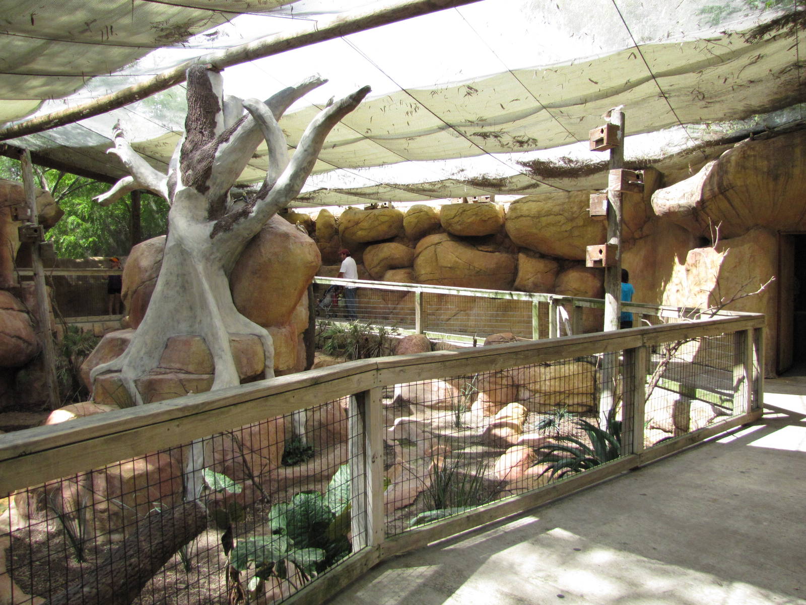 Gladys Porter Zoo 2010 - General view in the Indo-Australian Walkabout Avia