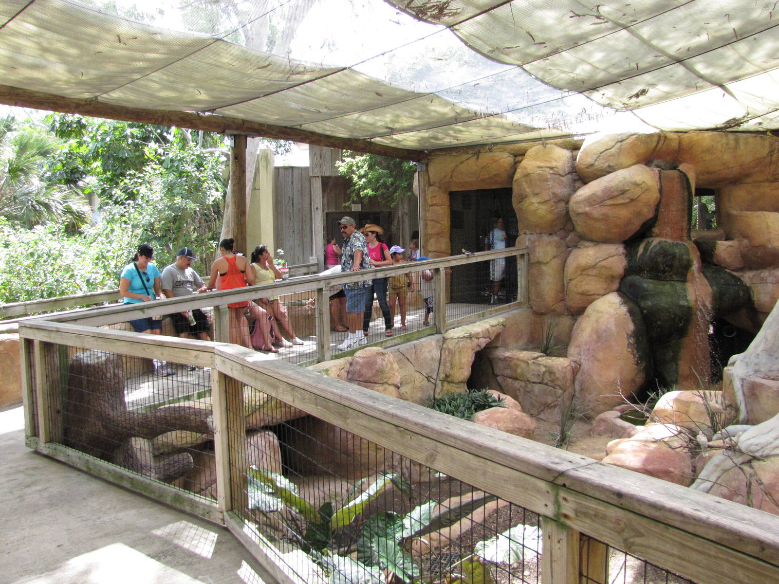 Gladys Porter Zoo 2010 - General view in the Indo-Australian Walkabout Avia