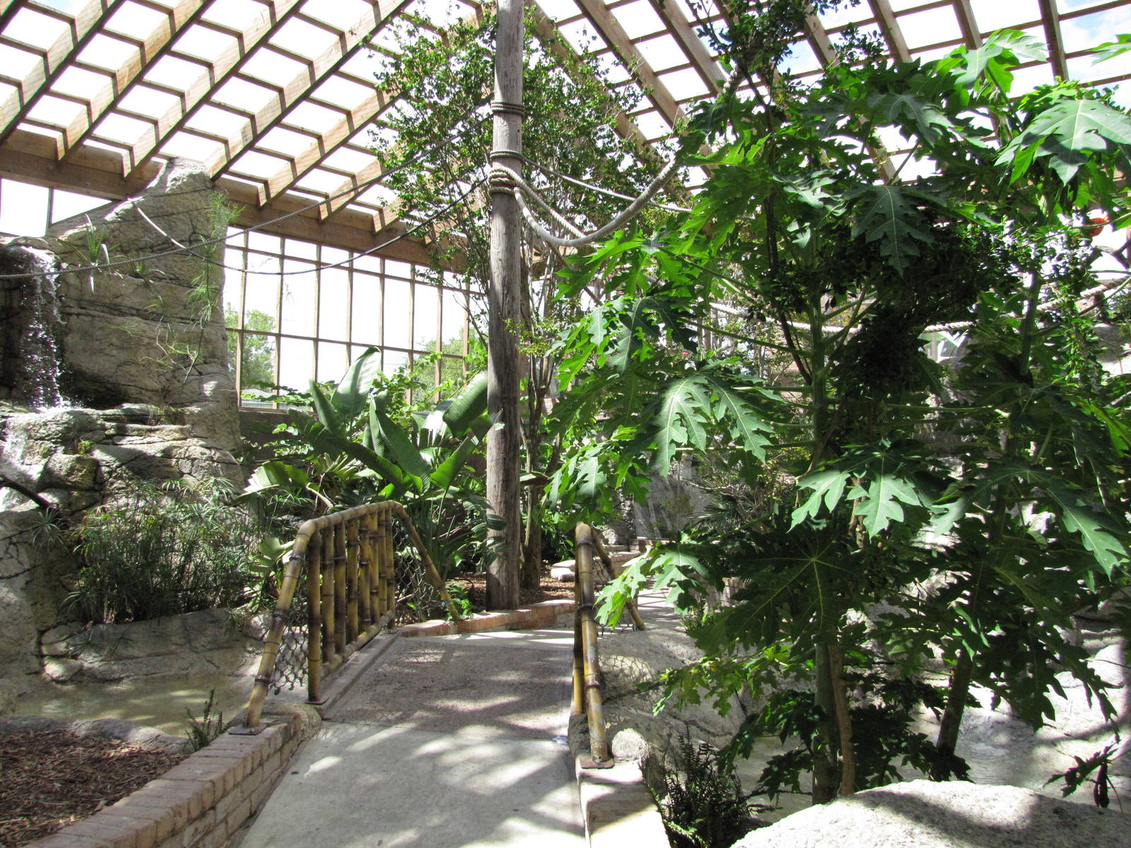 Gladys Porter Zoo 2010 - General view inside the South American Free-flight