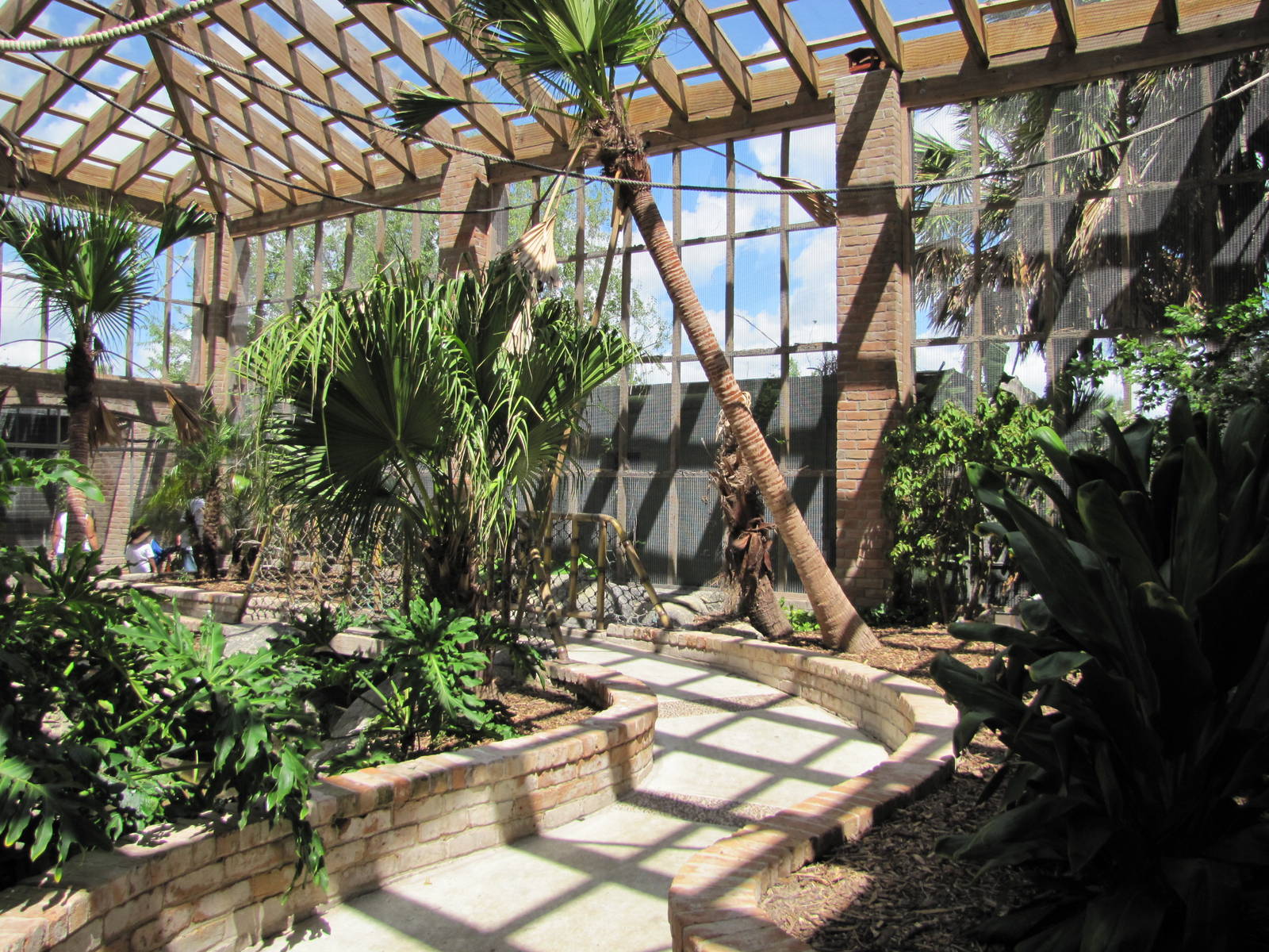 Gladys Porter Zoo 2010 - General view inside the South American Free-flight