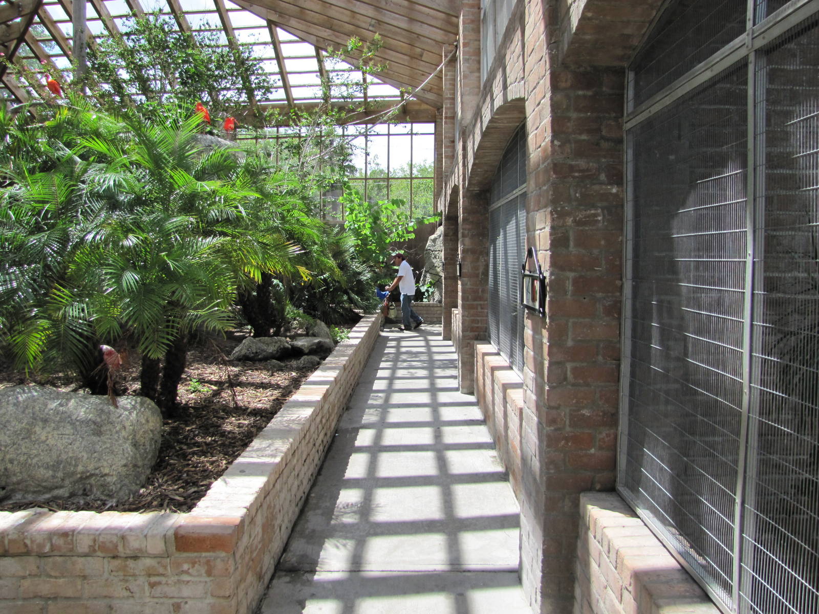 Gladys Porter Zoo 2010 - General view inside the South American Free-flight