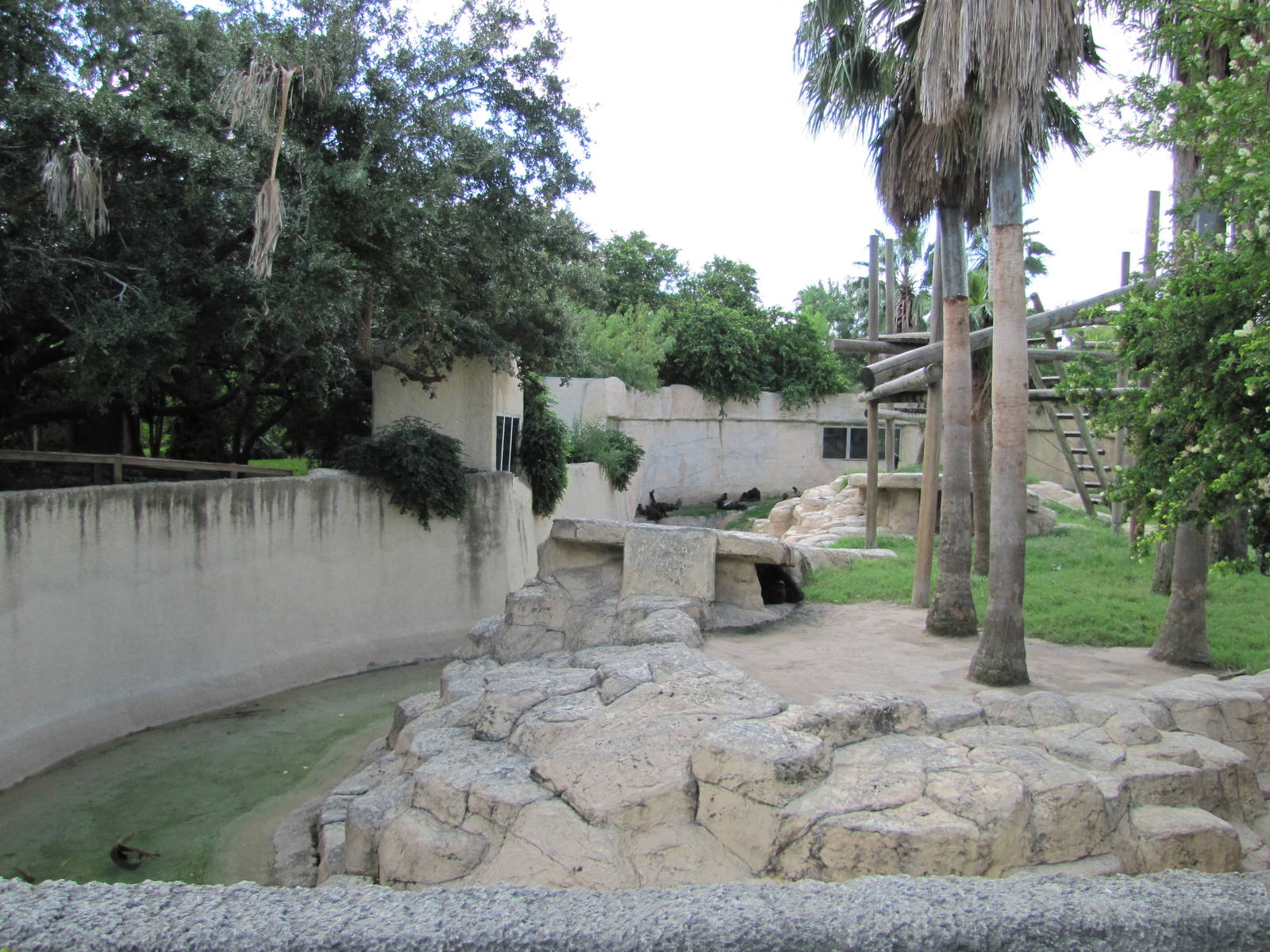 Gladys Porter Zoo 2010 - Left side of the Gorilla exhibit