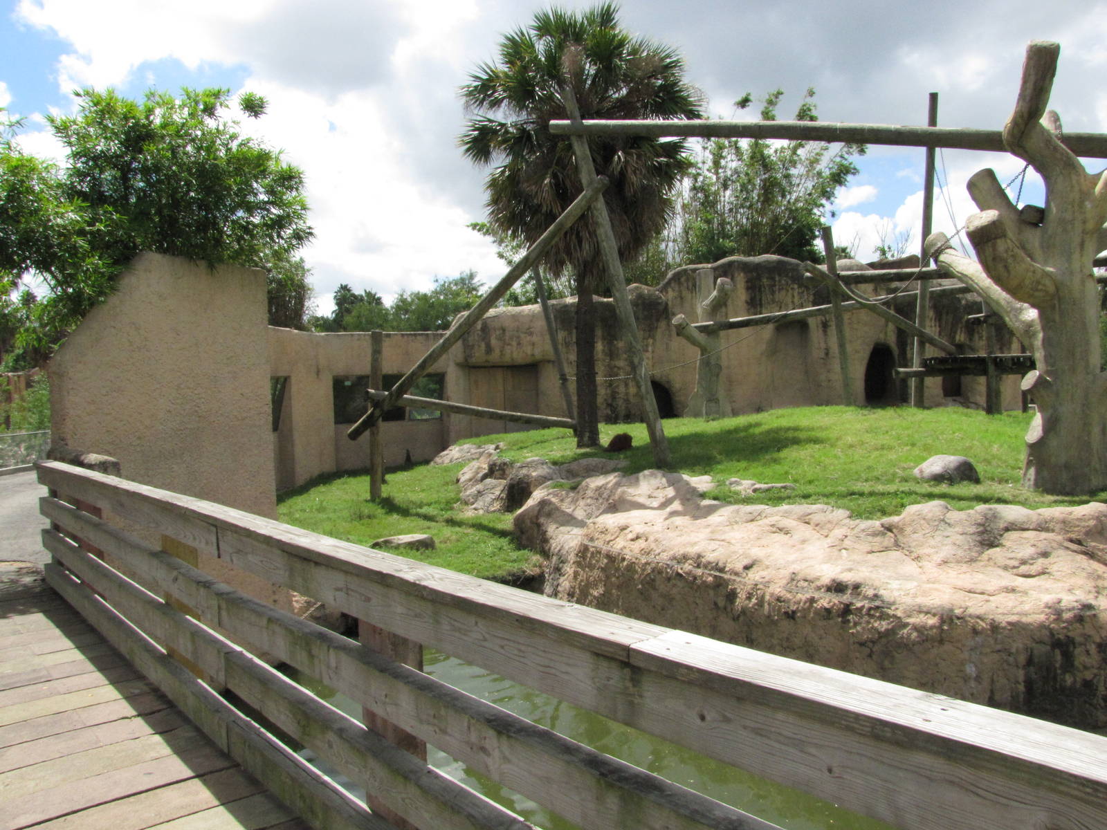 Gladys Porter Zoo 2010 - Left side of the Orangutan exhibit
