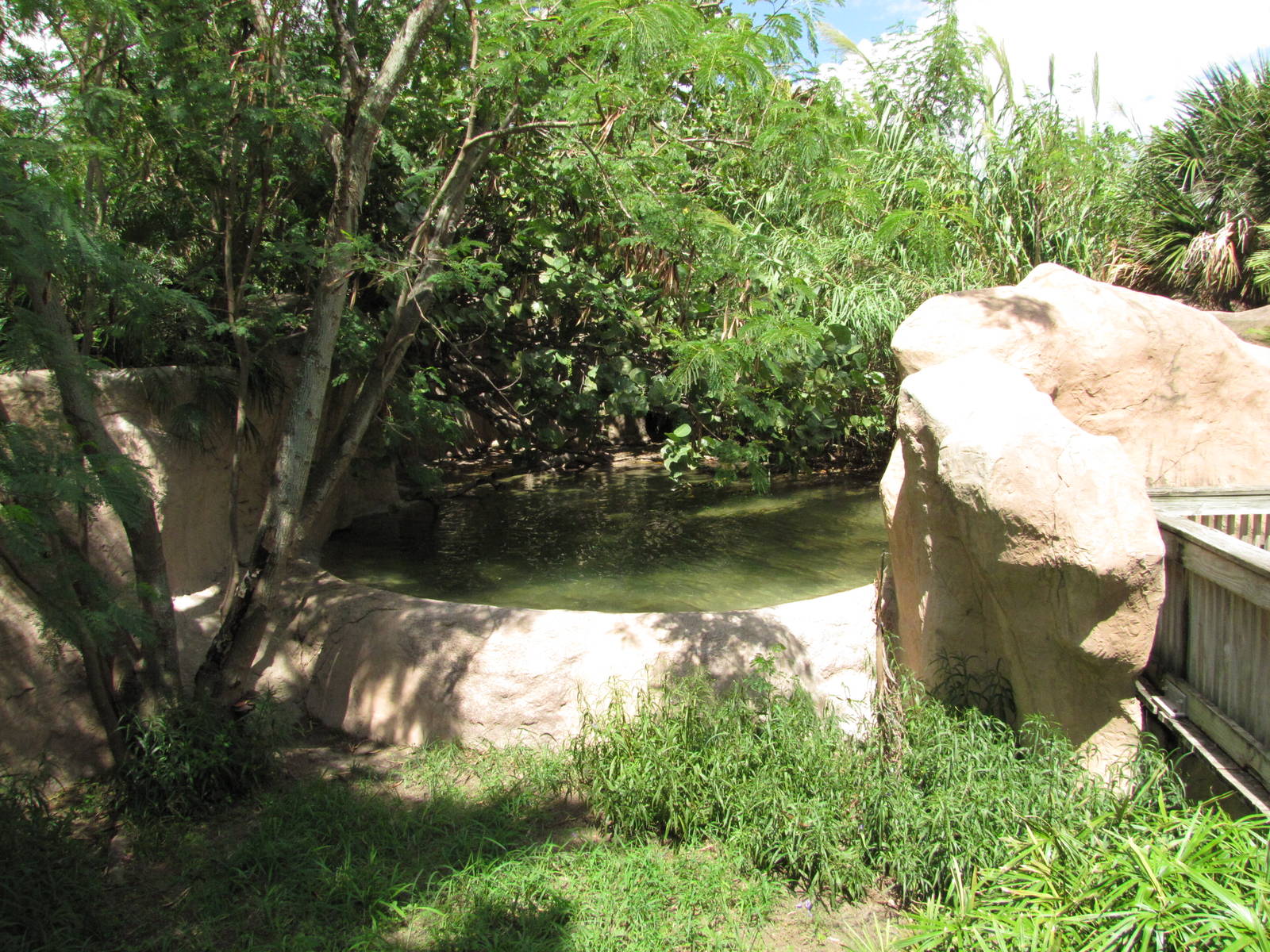 Gladys Porter Zoo 2010 - Philippine Crocodile exhibit