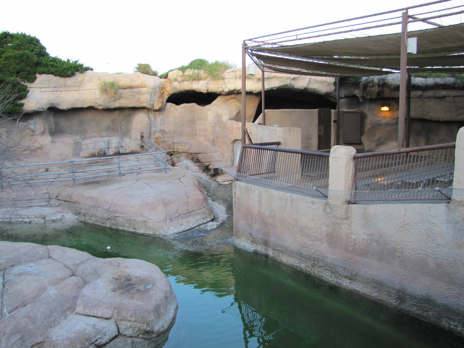 Gladys Porter Zoo 2010 - Right part of the Sea Lion exhibit and former Pola
