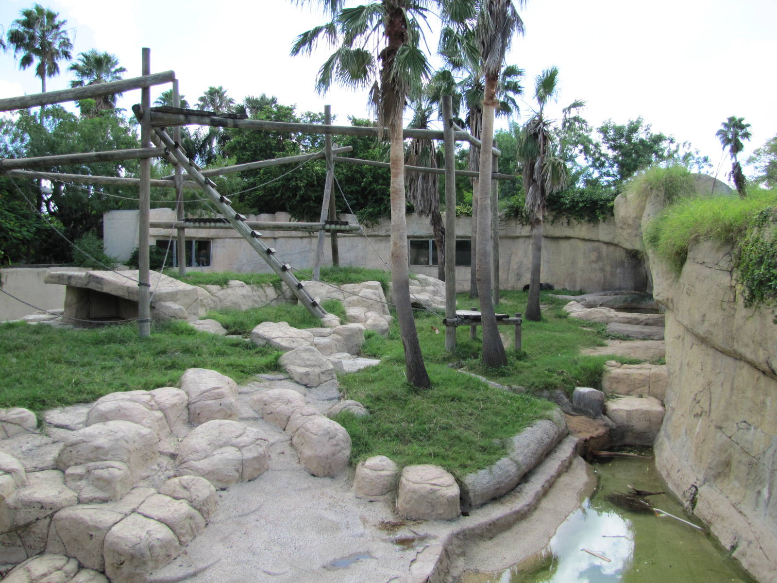 Gladys Porter Zoo 2010 - Right side of the Gorilla exhibit