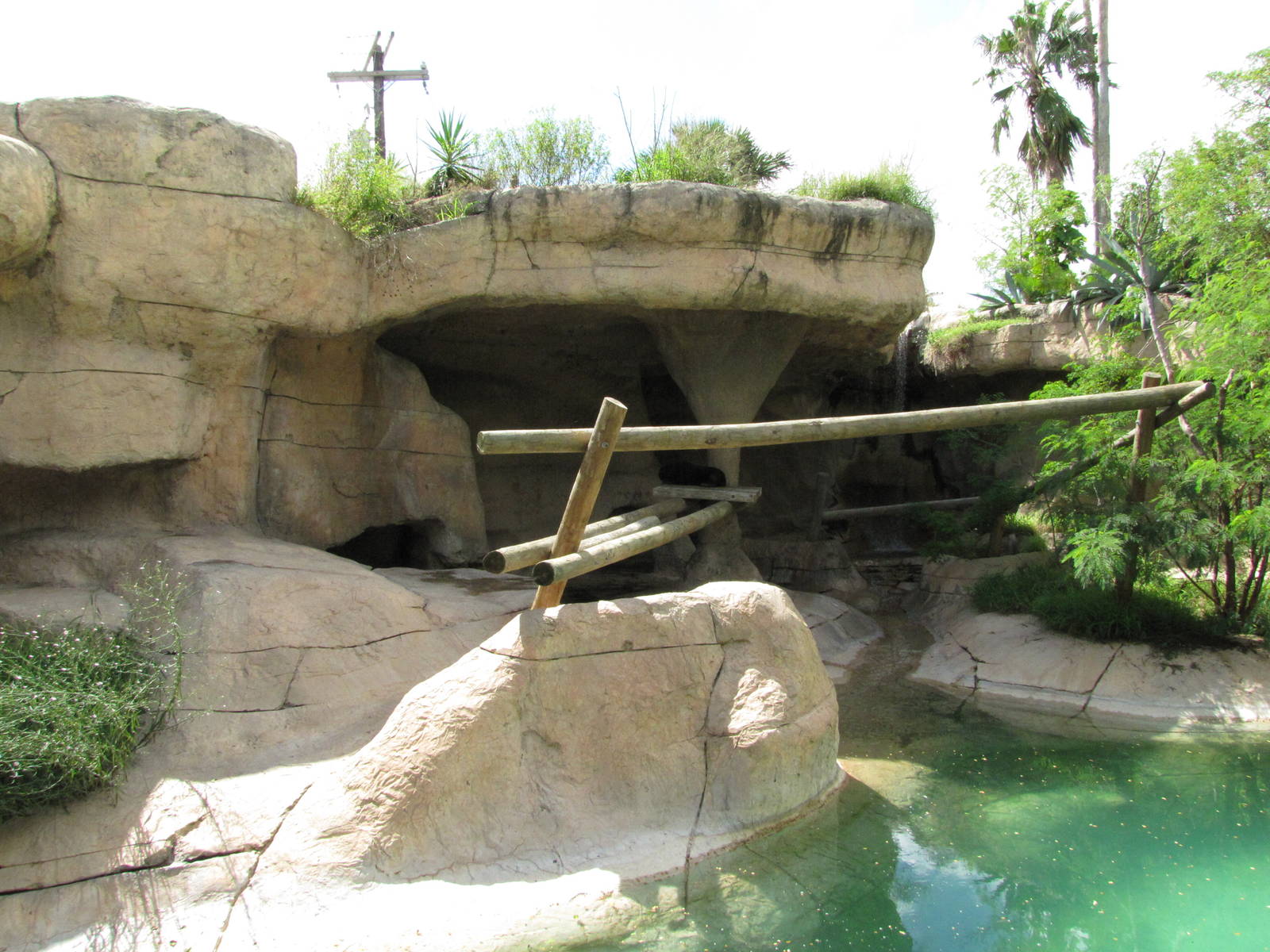 Gladys Porter Zoo 2010 - Second Malayan Sun Bear exhibit