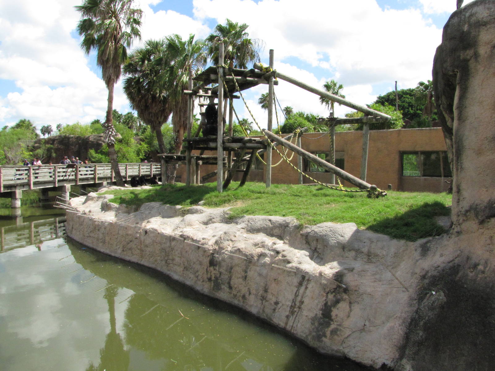 Gladys Porter Zoo 2010 - Side-view of the Chimpanzee exhibit