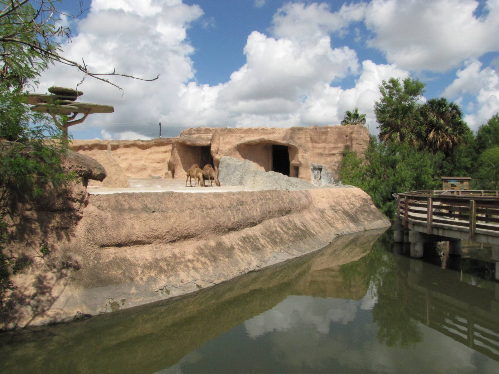 Gladys Porter Zoo 2010 - Side-view of the former African Elephant exhibit