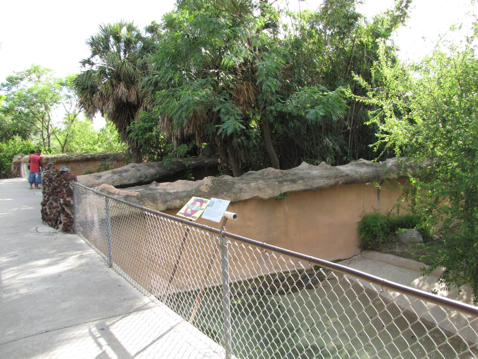 Gladys Porter Zoo 2010 - View to the left in the Crocodile complex