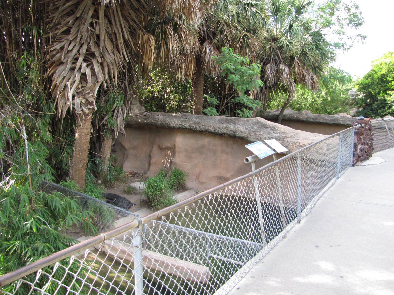 Gladys Porter Zoo 2010 - View to the right in the Crocodile complex