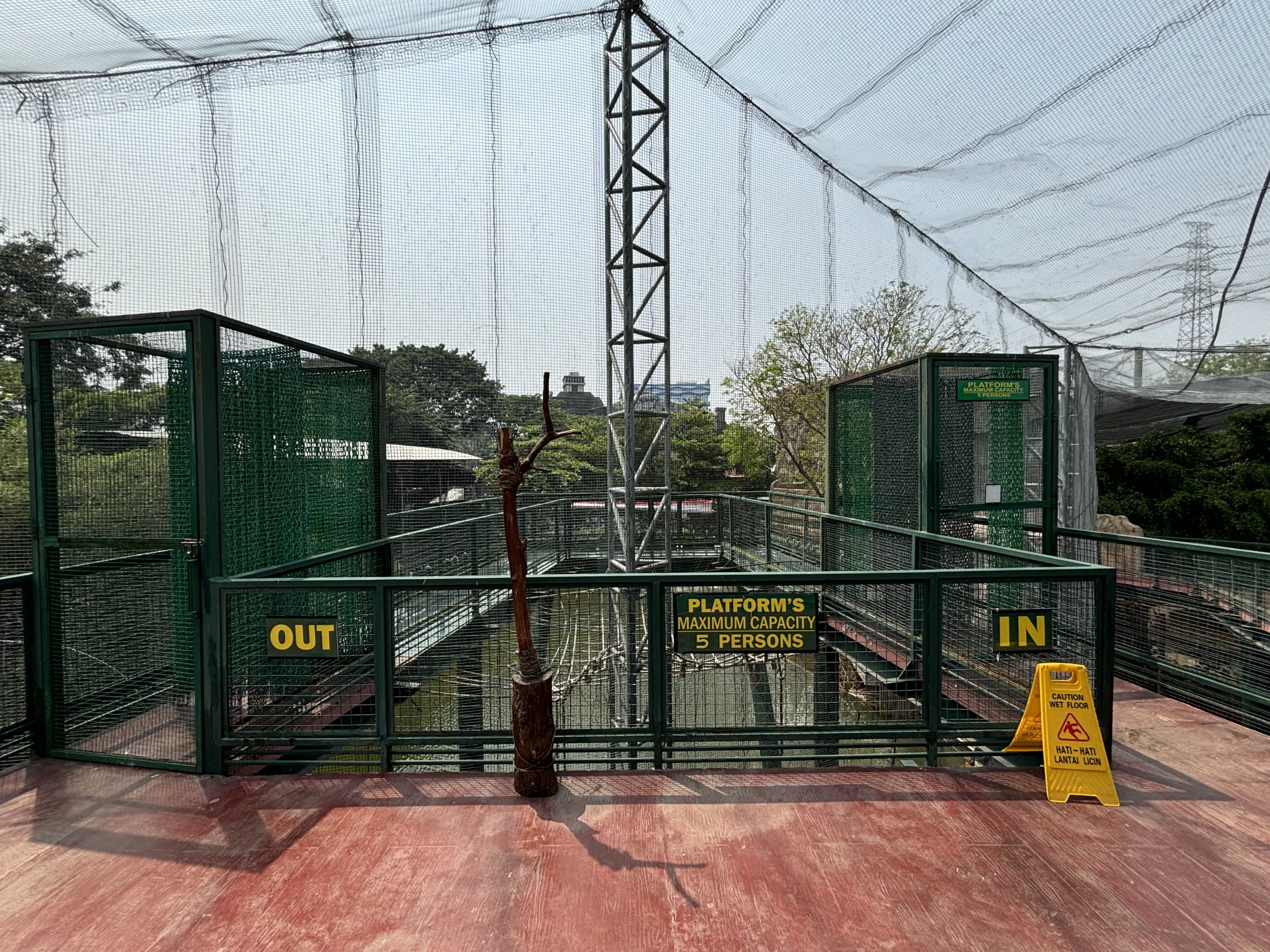 Glass Bottom Floor Entrance Area - Jakarta Bird Land
