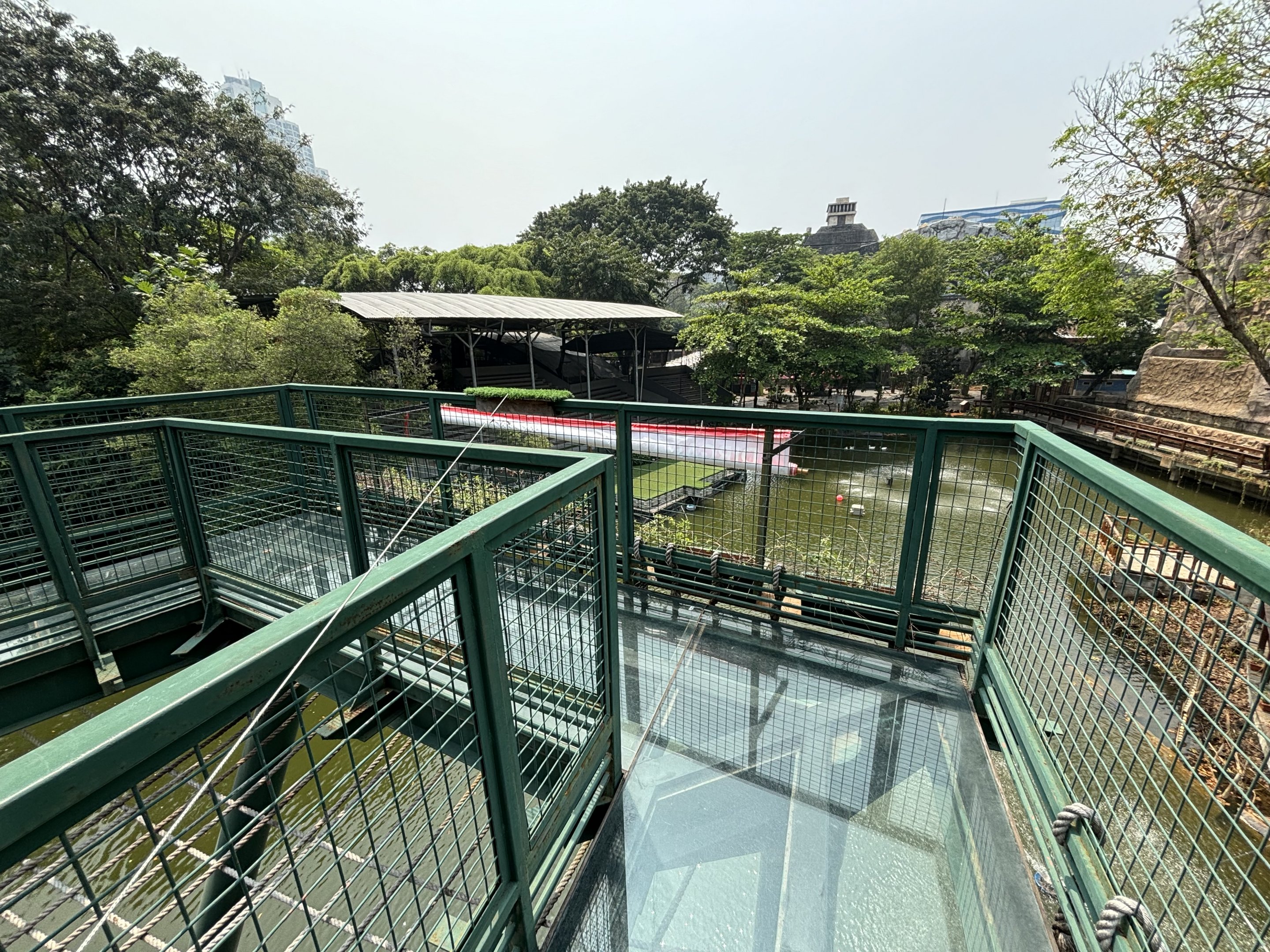 Glass Bottom Floor - Jakarta Bird Land