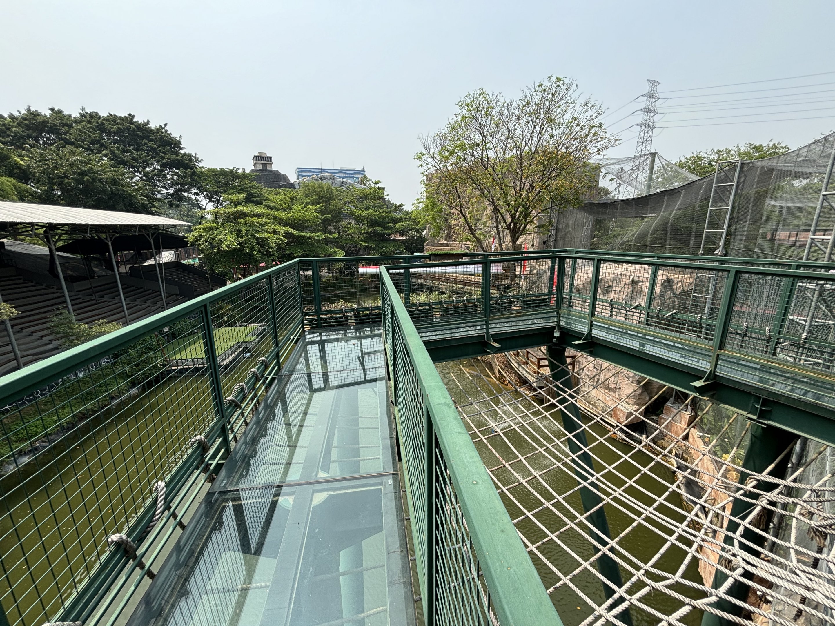 Glass Bottom Floor - Jakarta Bird Land