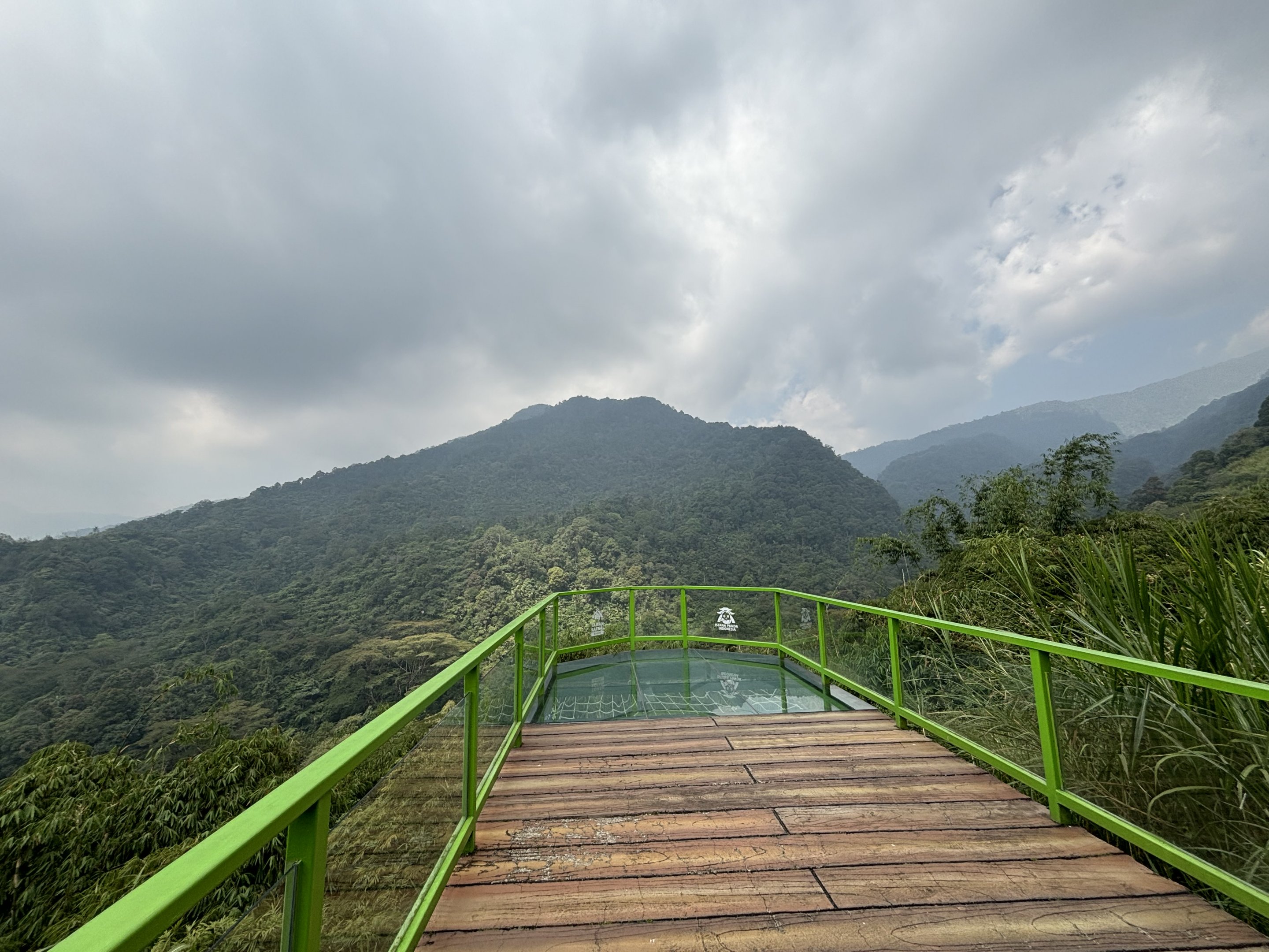 Glass Bottom Viewing Area - Giant Panda Complex