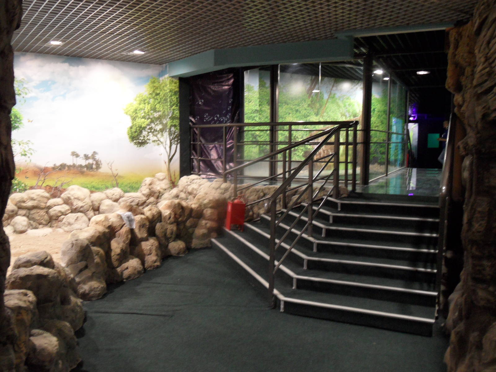 Glass bridge over ray pool