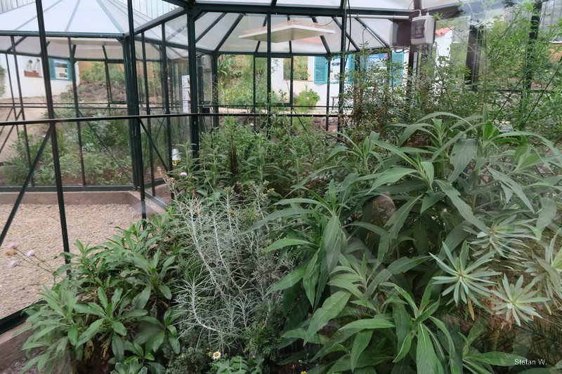 Glass Pavillon for the canary island ecosystem