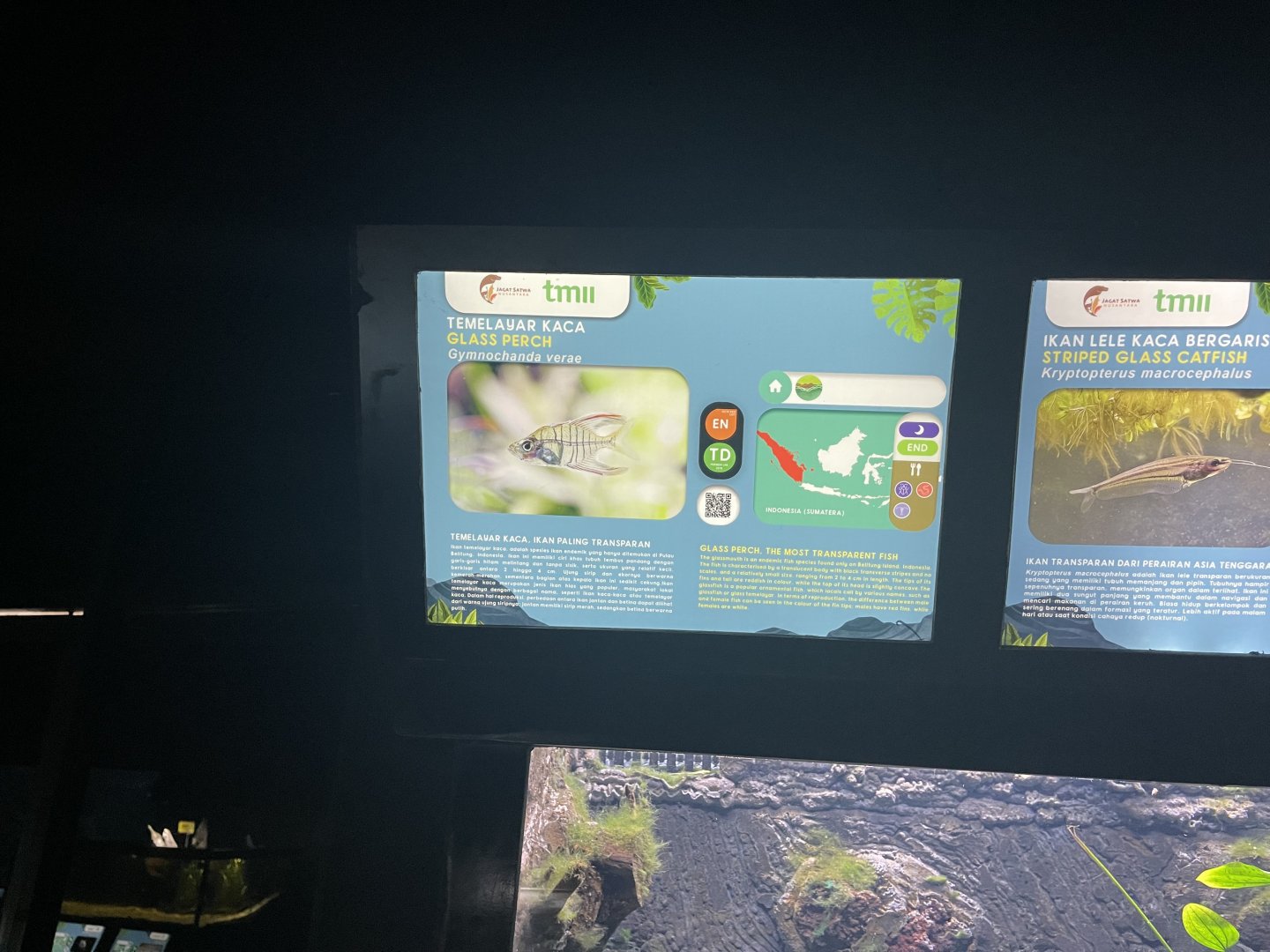 glass perch signage - dunia air tawar