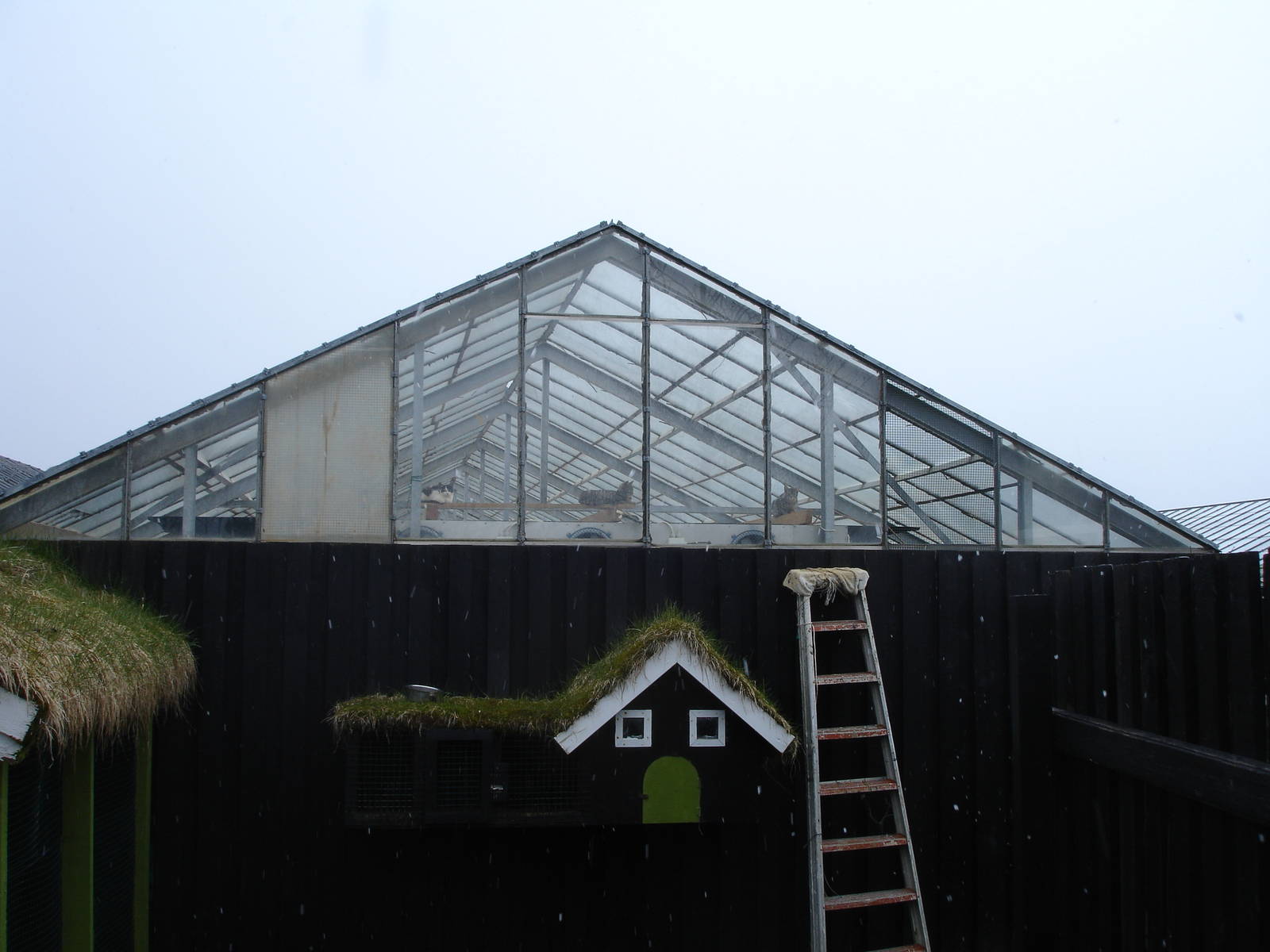 Glass roofed building