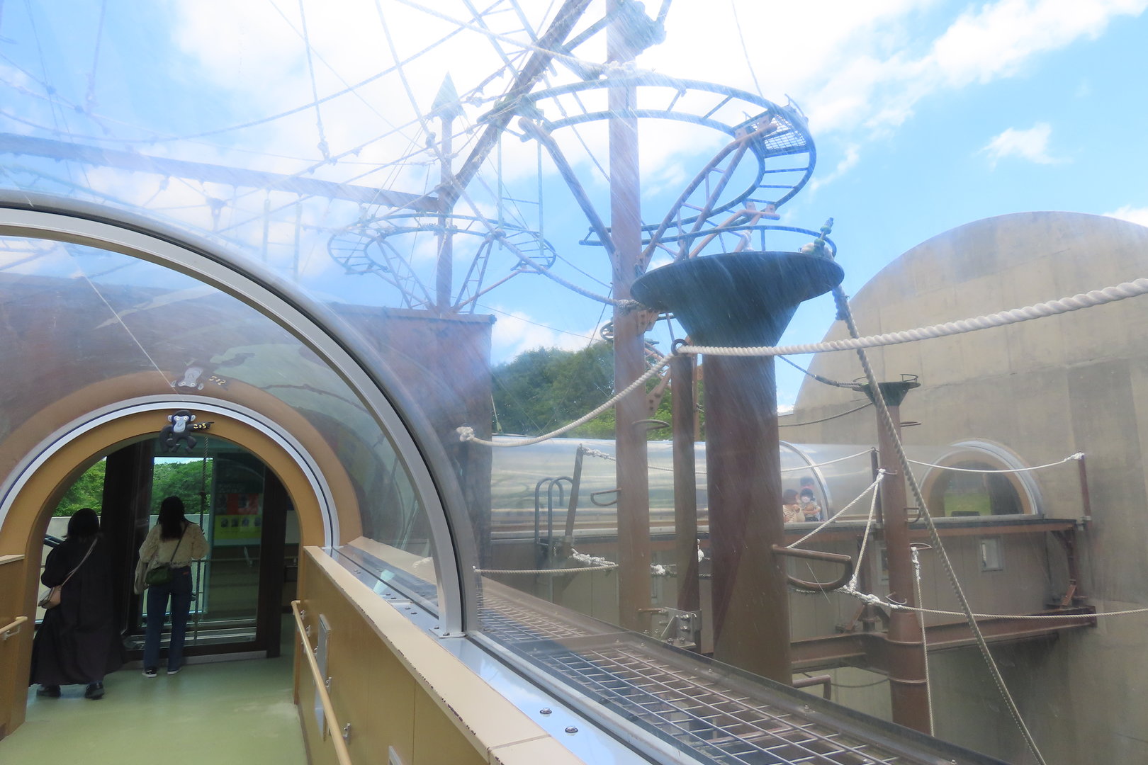 Glass tunnel through chimp exhibit