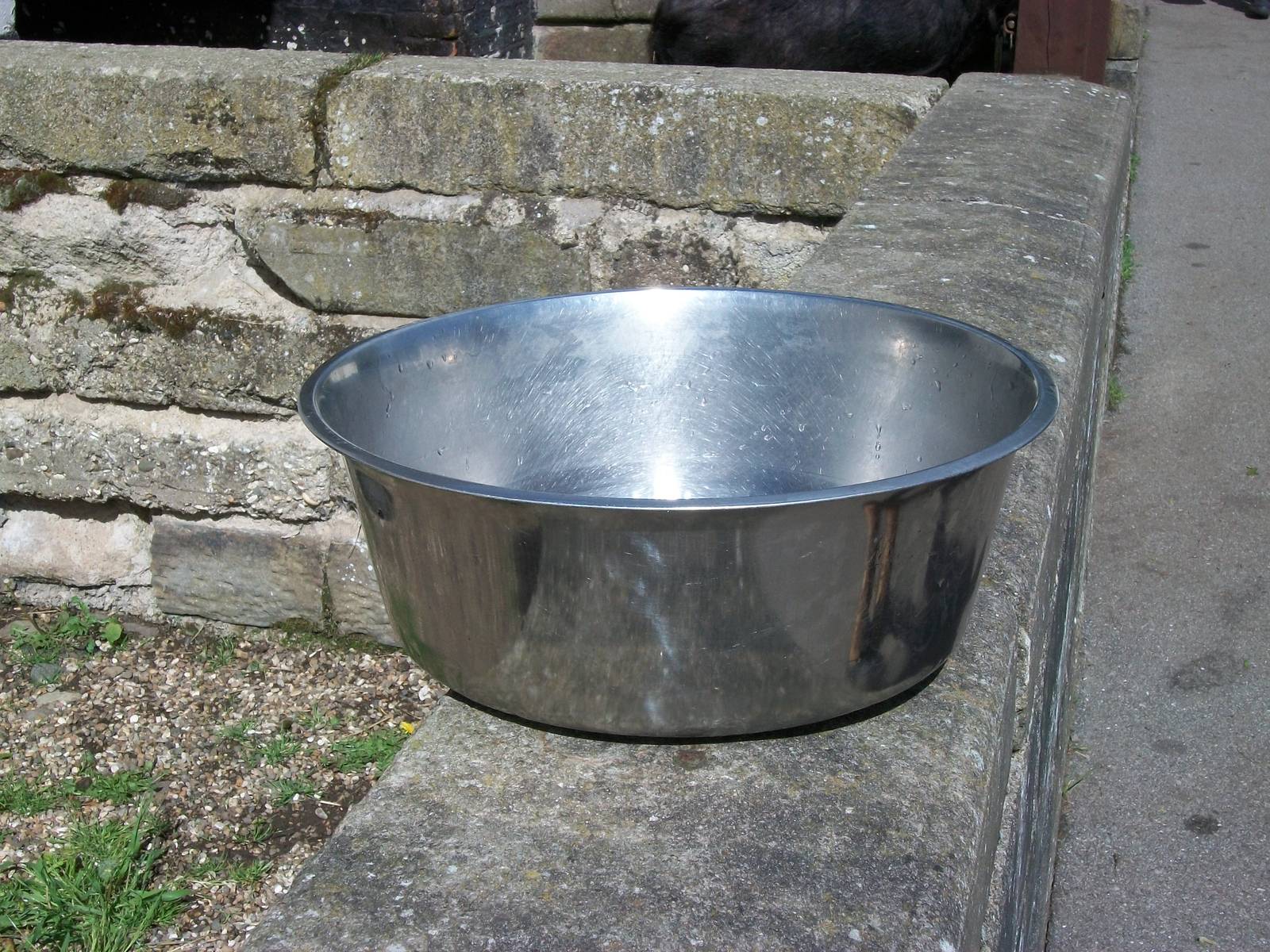 Gleaming water bowl for the Llamas, 9th May 2014
