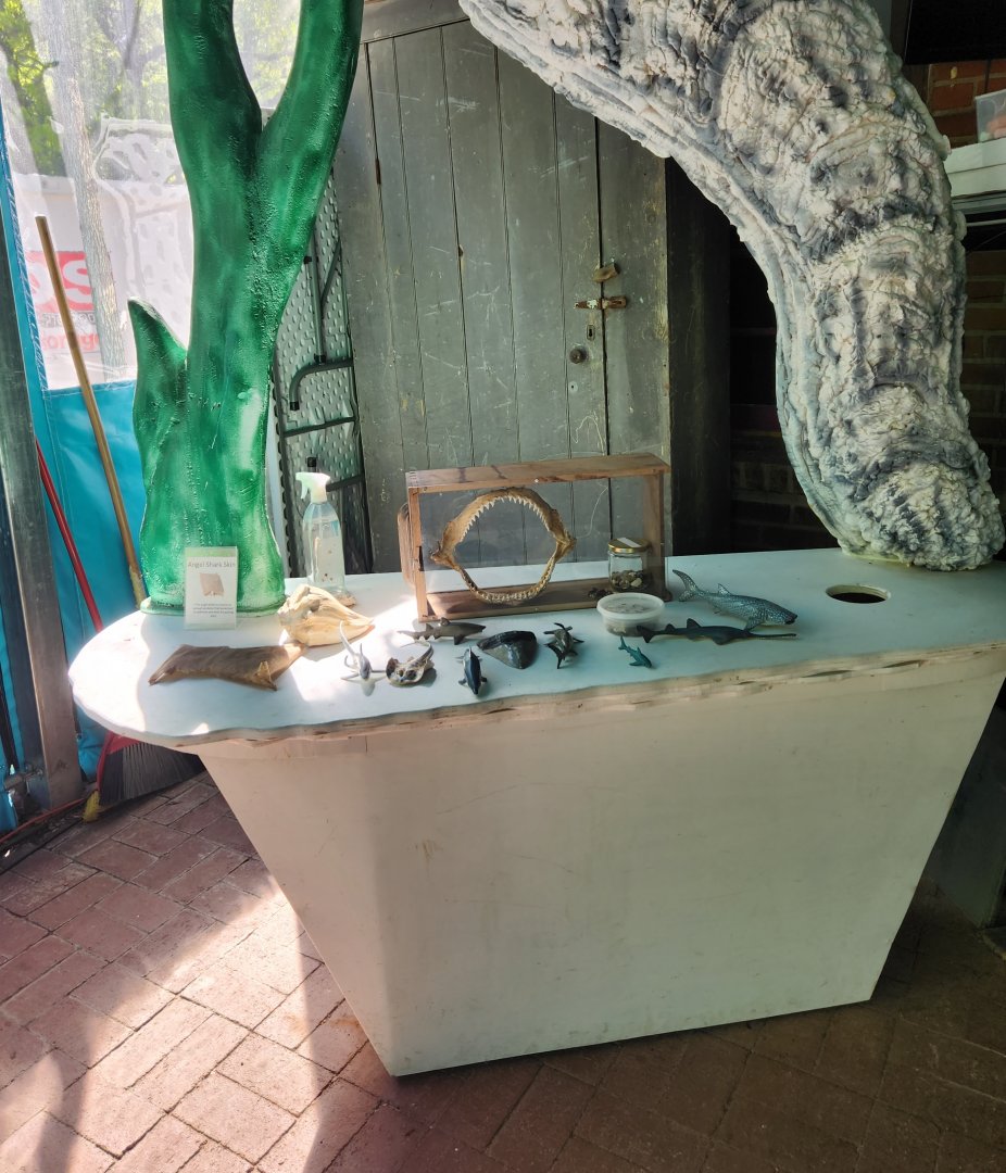 Glen Echo Park Aquarium - Exhibit models