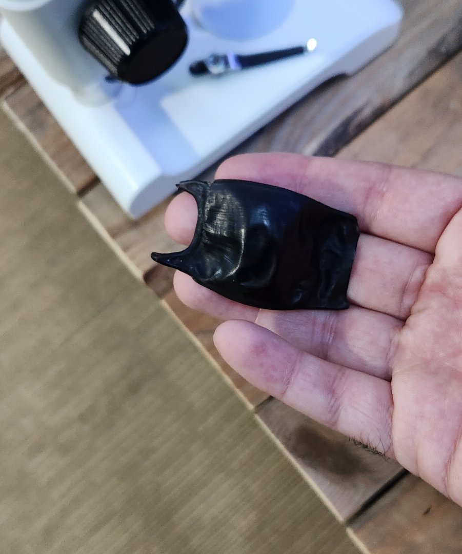 Glen Echo Park Aquarium - Mermaid's purse