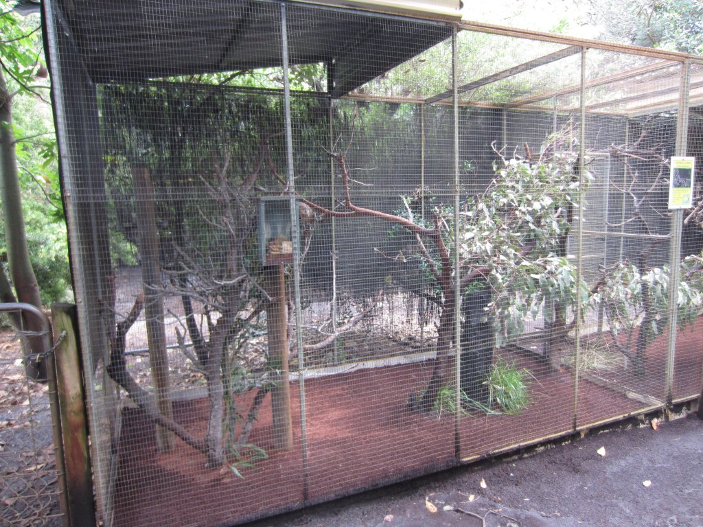 Glider cage