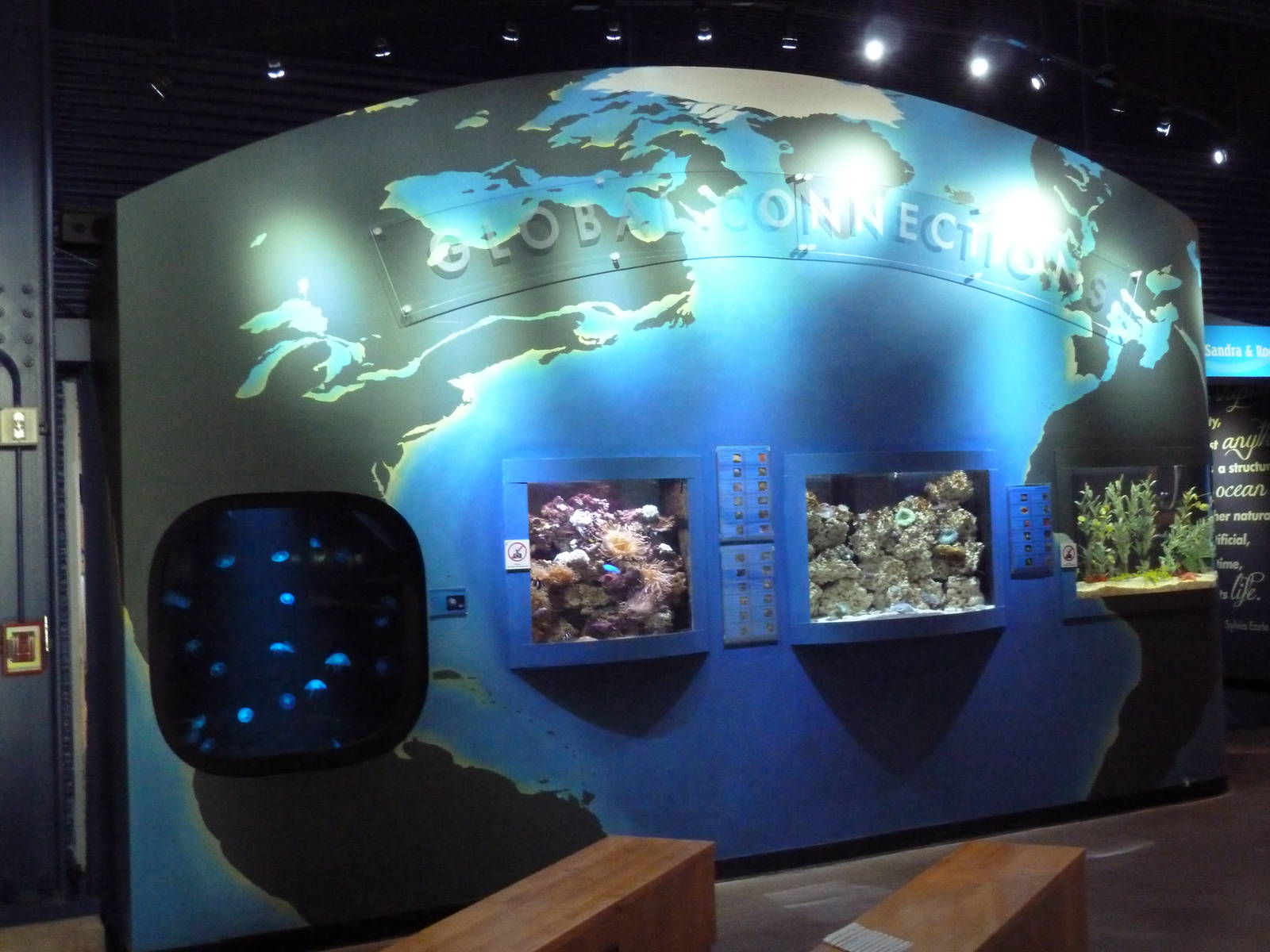 Global Connections - 4 Small Tanks