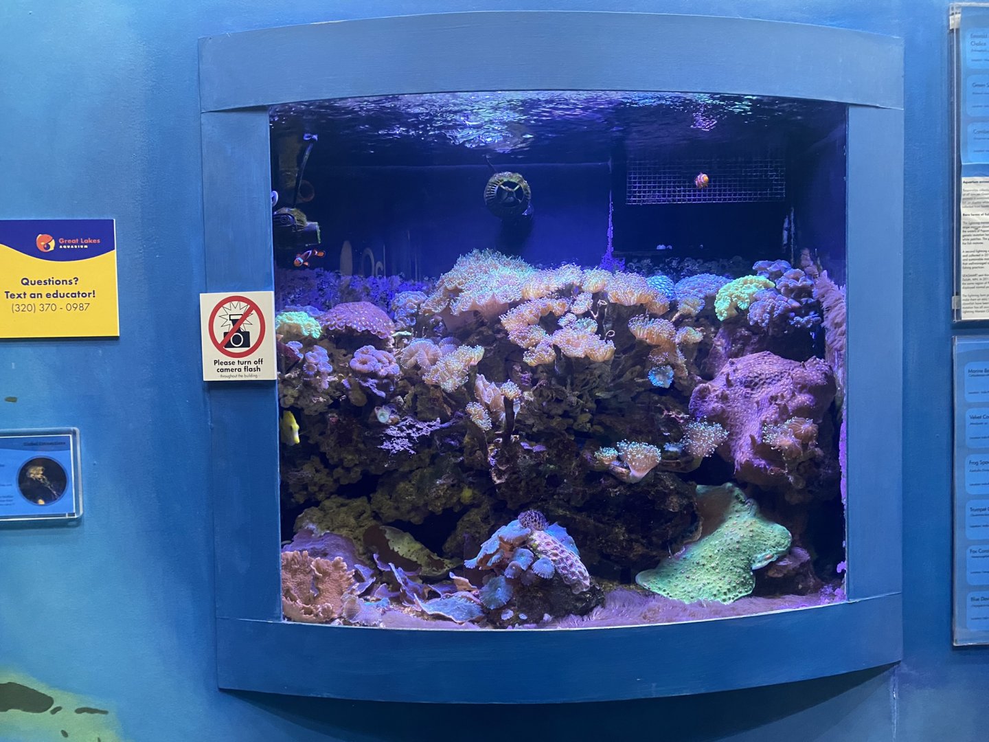 Global Connections - Coral Reef Tank #2