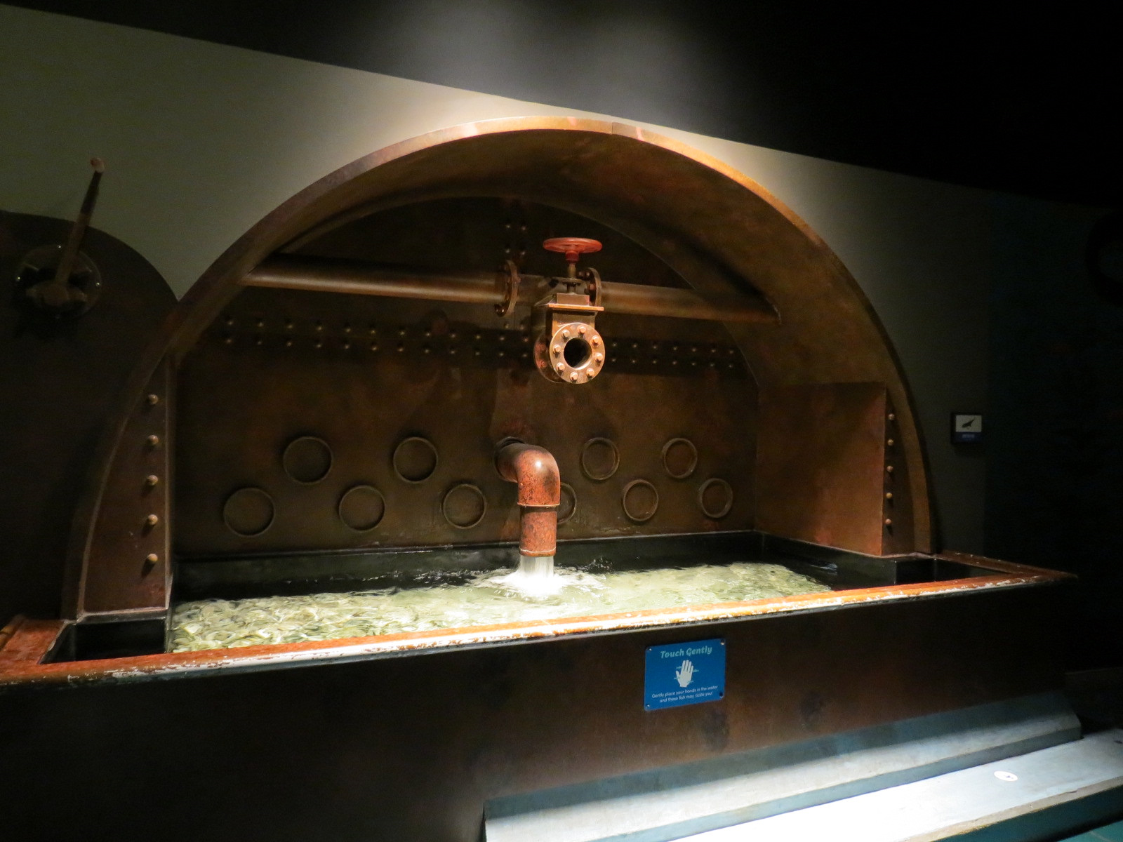 Global Rivers - Doctorfish Touch Exhibit