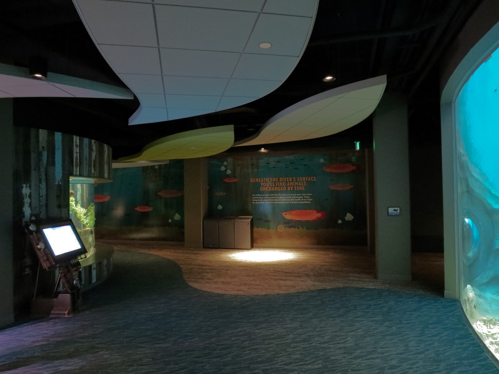 Global Rivers - Hall