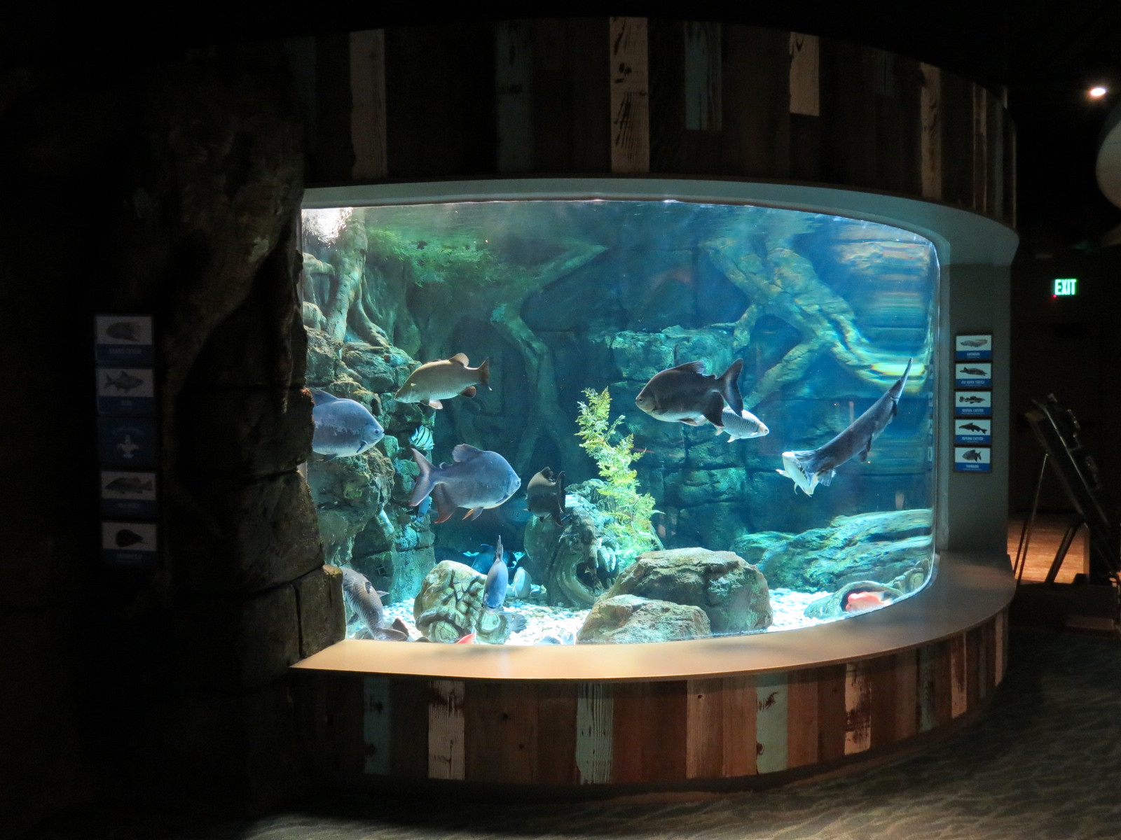 Global Rivers - Mixed Species Exhibit