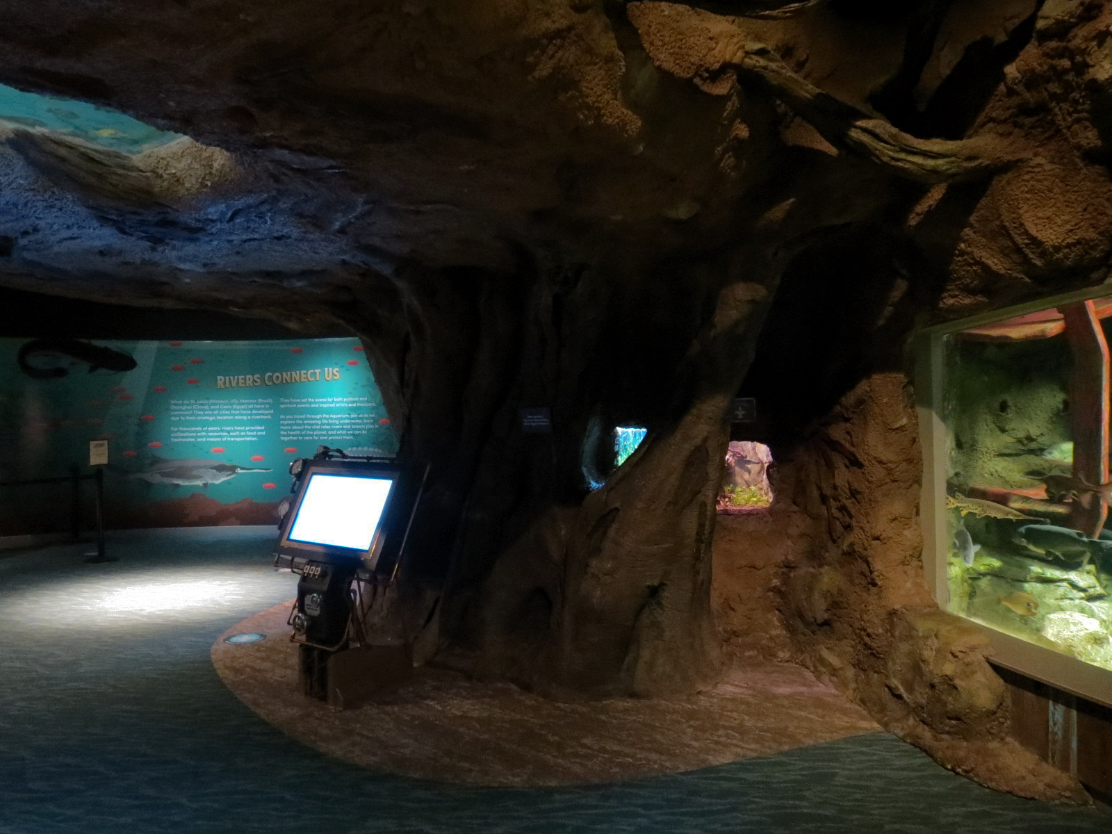 Global Rivers - Three Small Terrariums