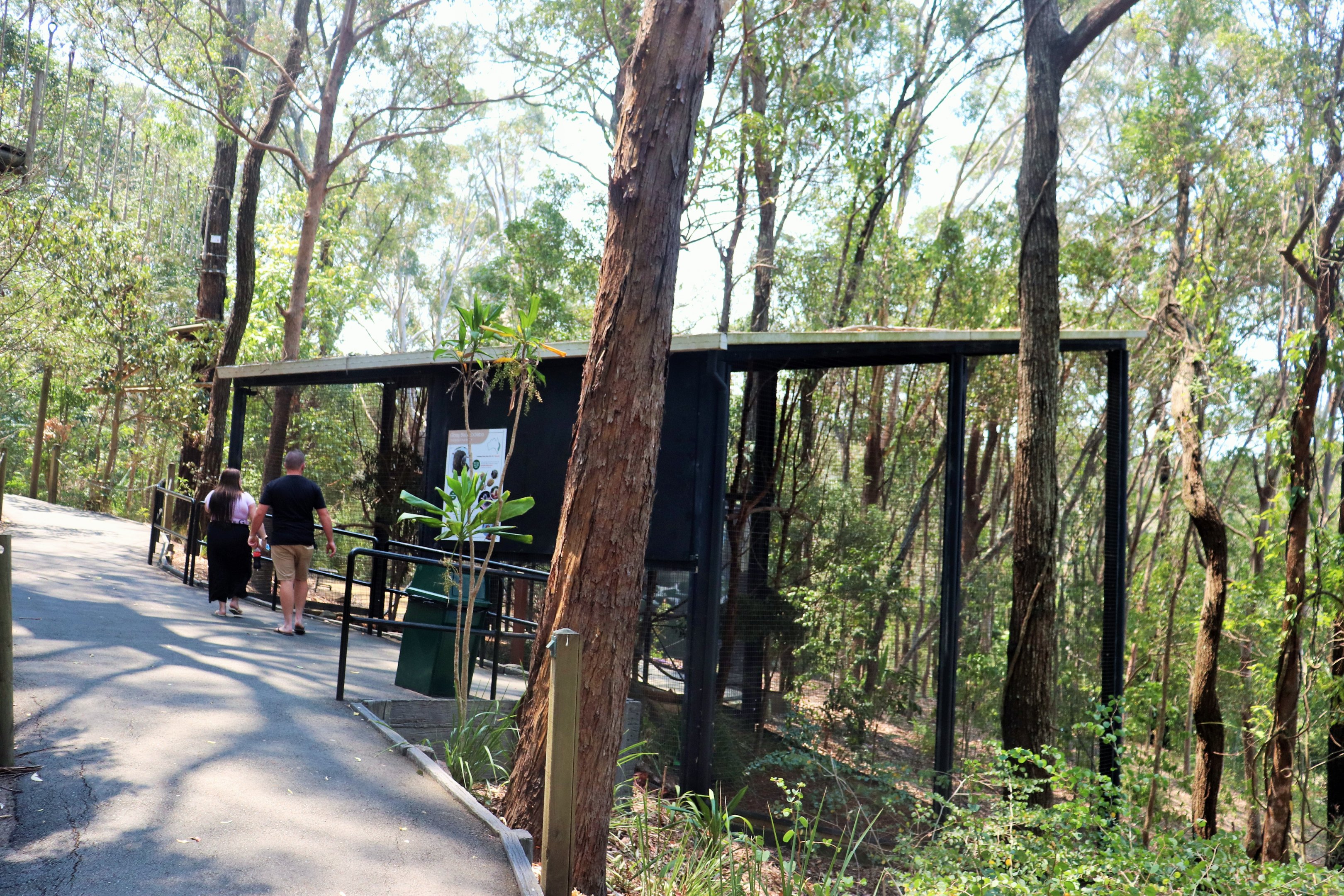 Glossy Black Cockatoo Aviary
