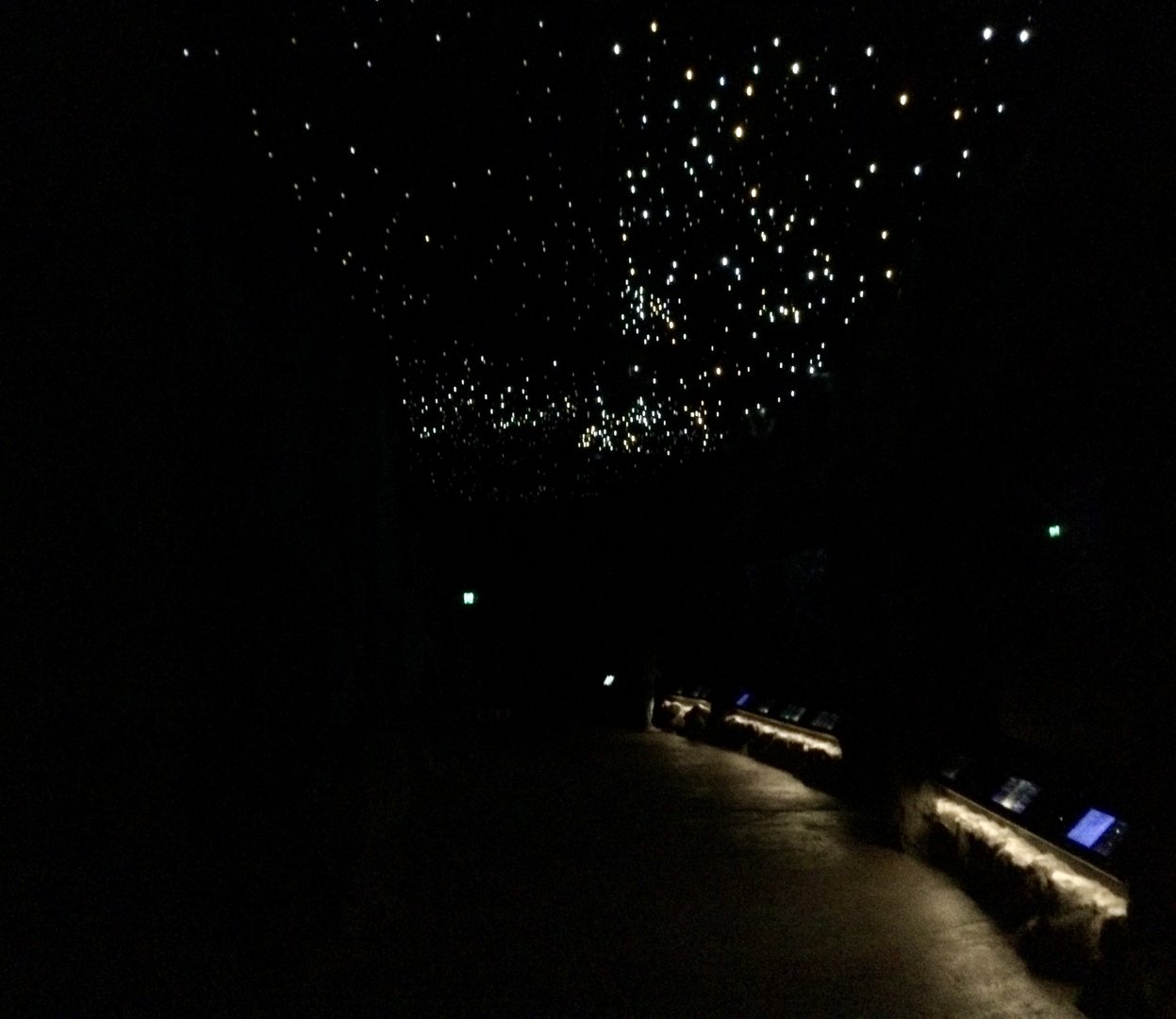 Glow Worm Ceiling (The Night) - New Zealand Precinct