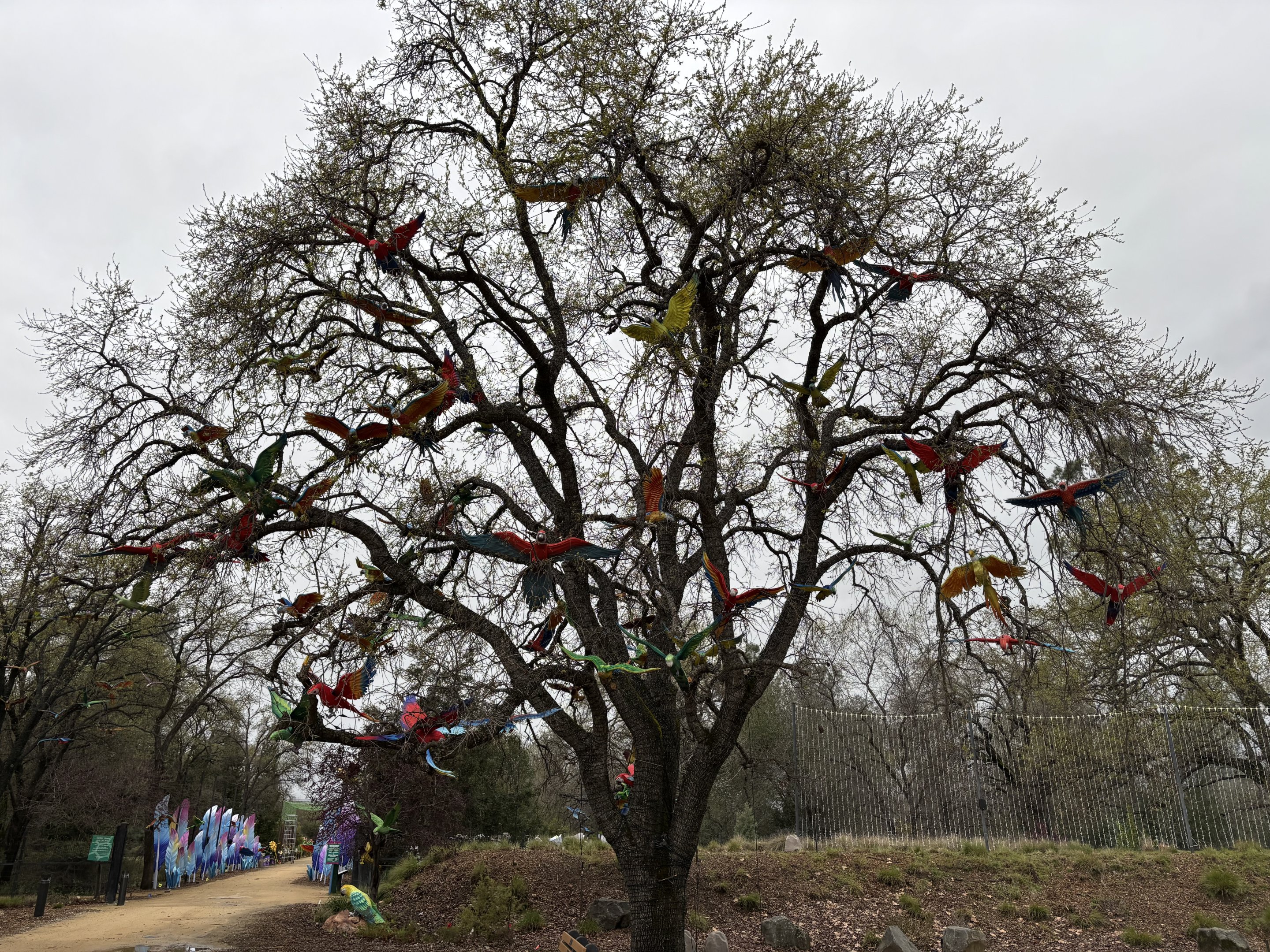 Glowing Wild Lantern Festival - Macaw Tree