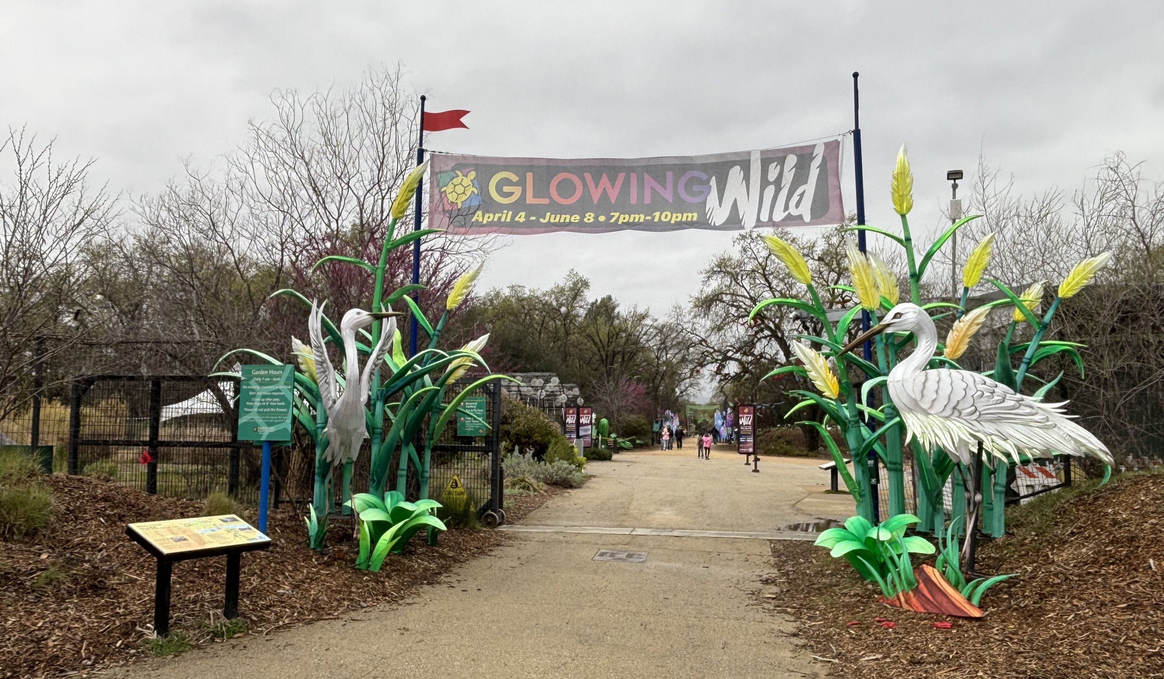 Glowing Wild Lantern Festival