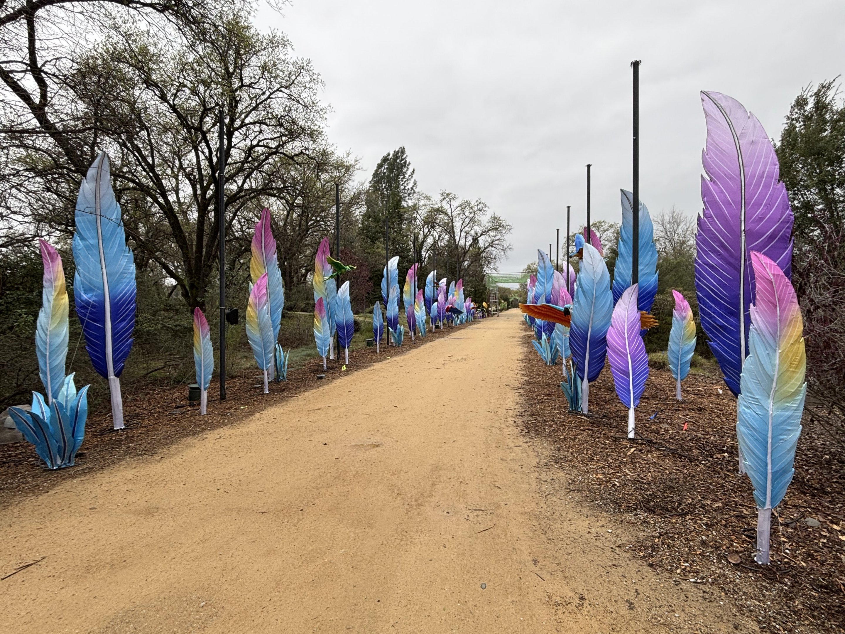 Glowing Wild Lantern Festival