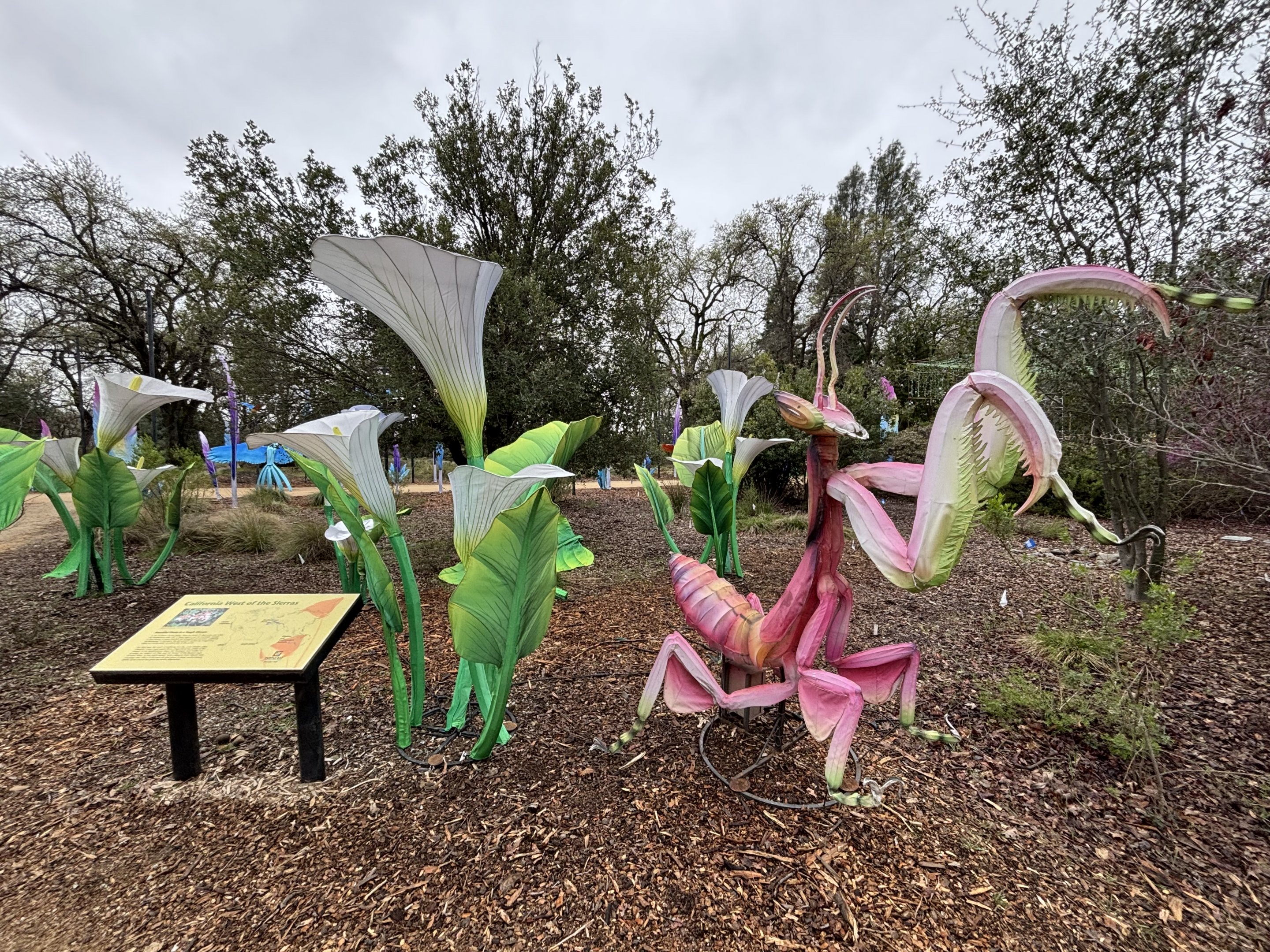 Glowing Wild Lantern Festival