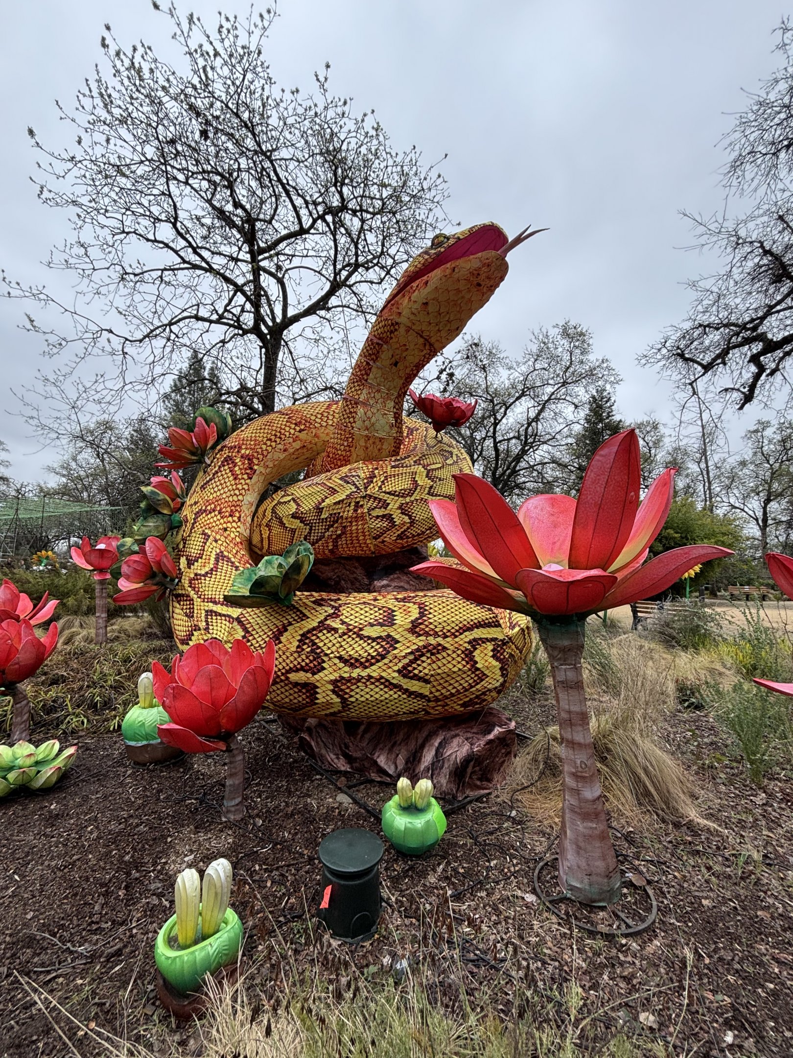 Glowing Wild Lantern Festival