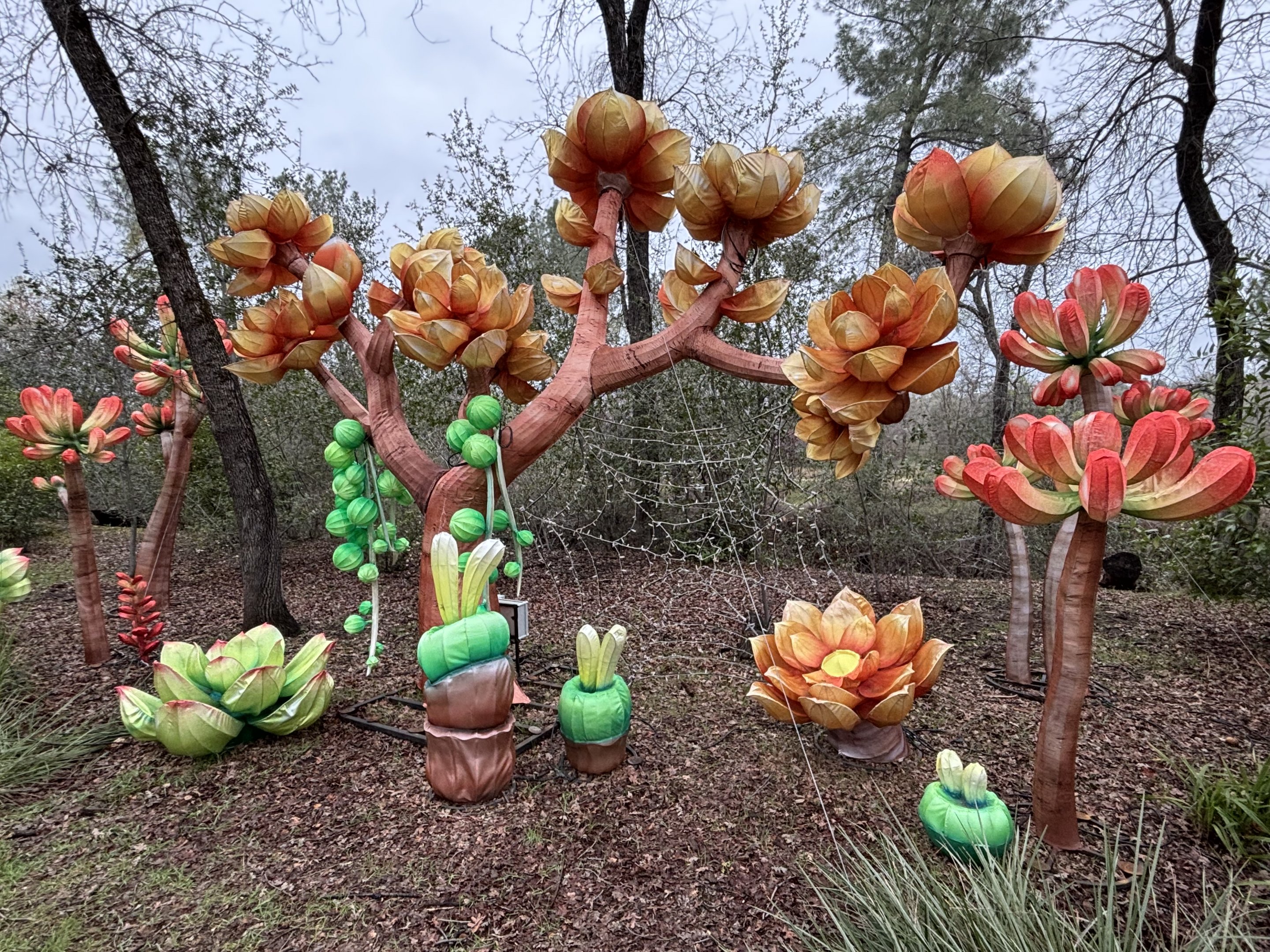 Glowing Wild Lantern Festival