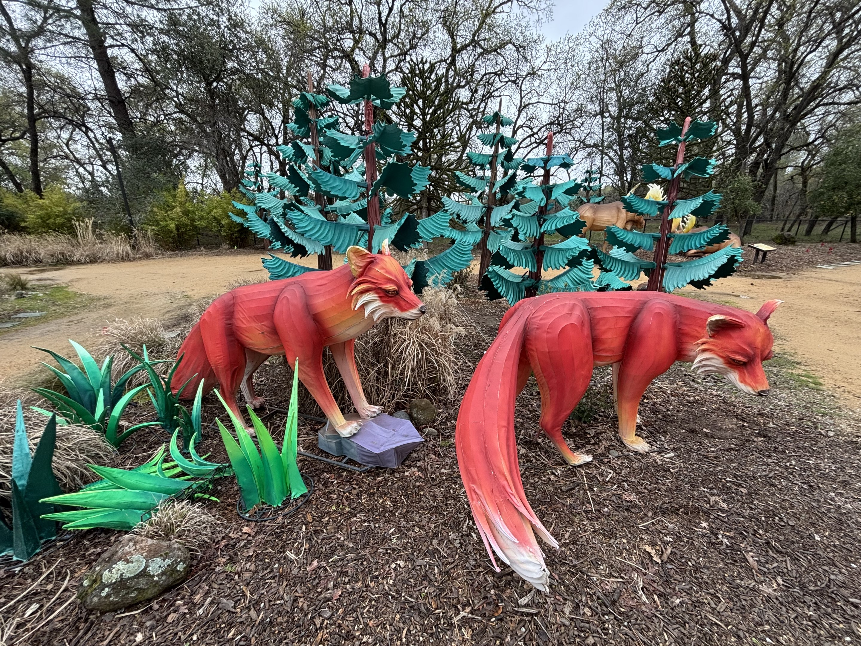 Glowing Wild Lantern Festival