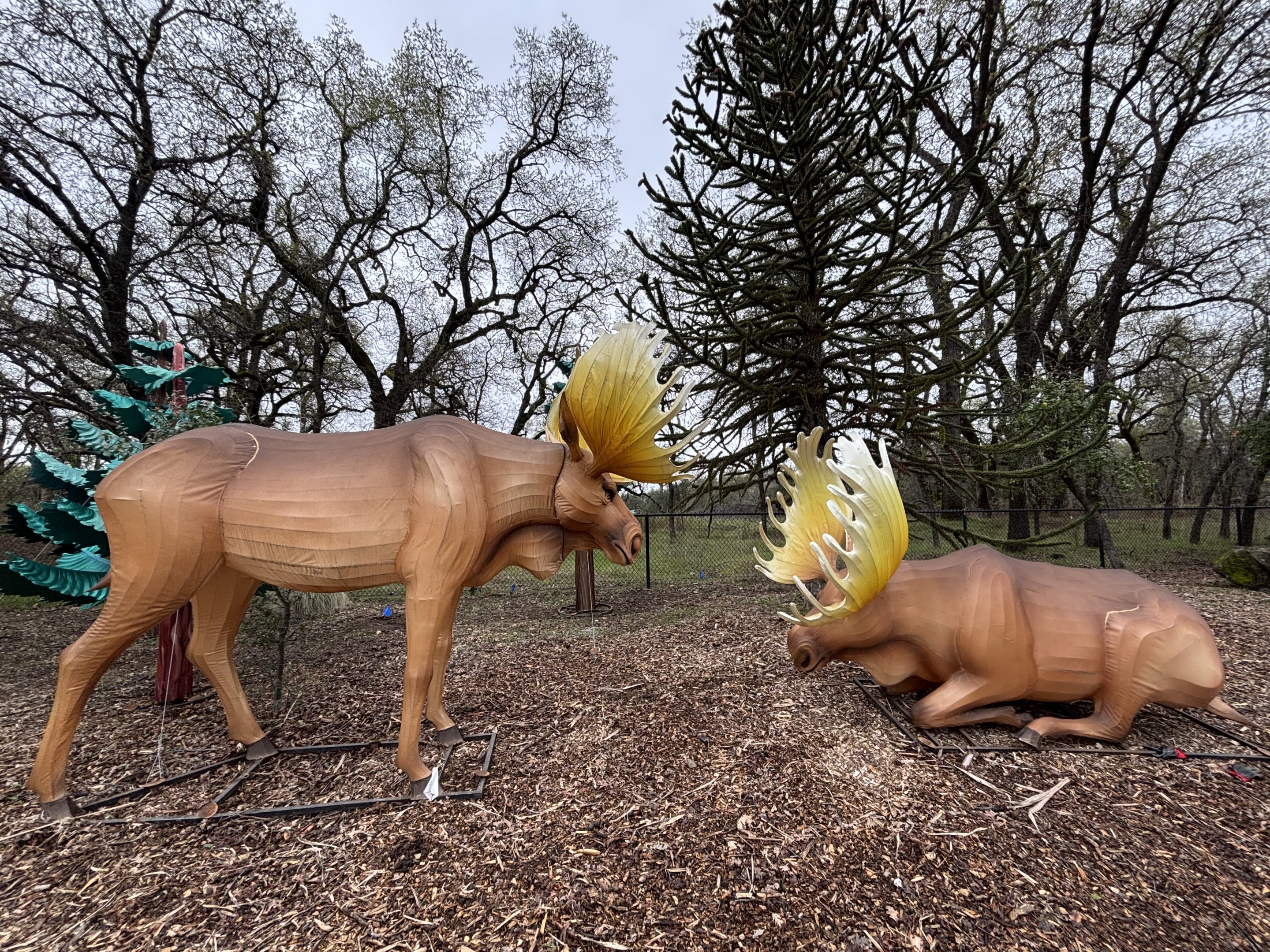 Glowing Wild Lantern Festival