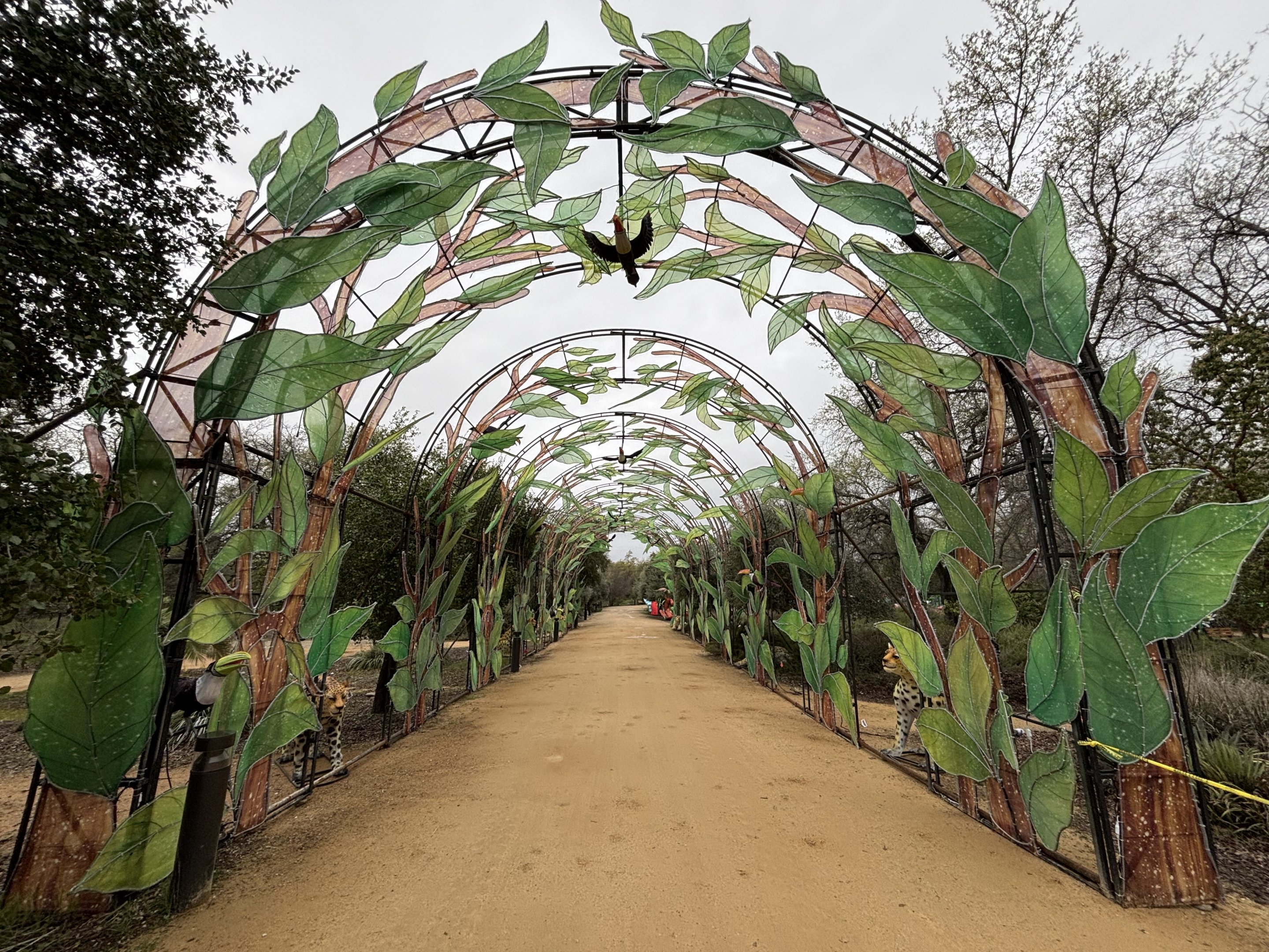Glowing Wild Lantern Festival