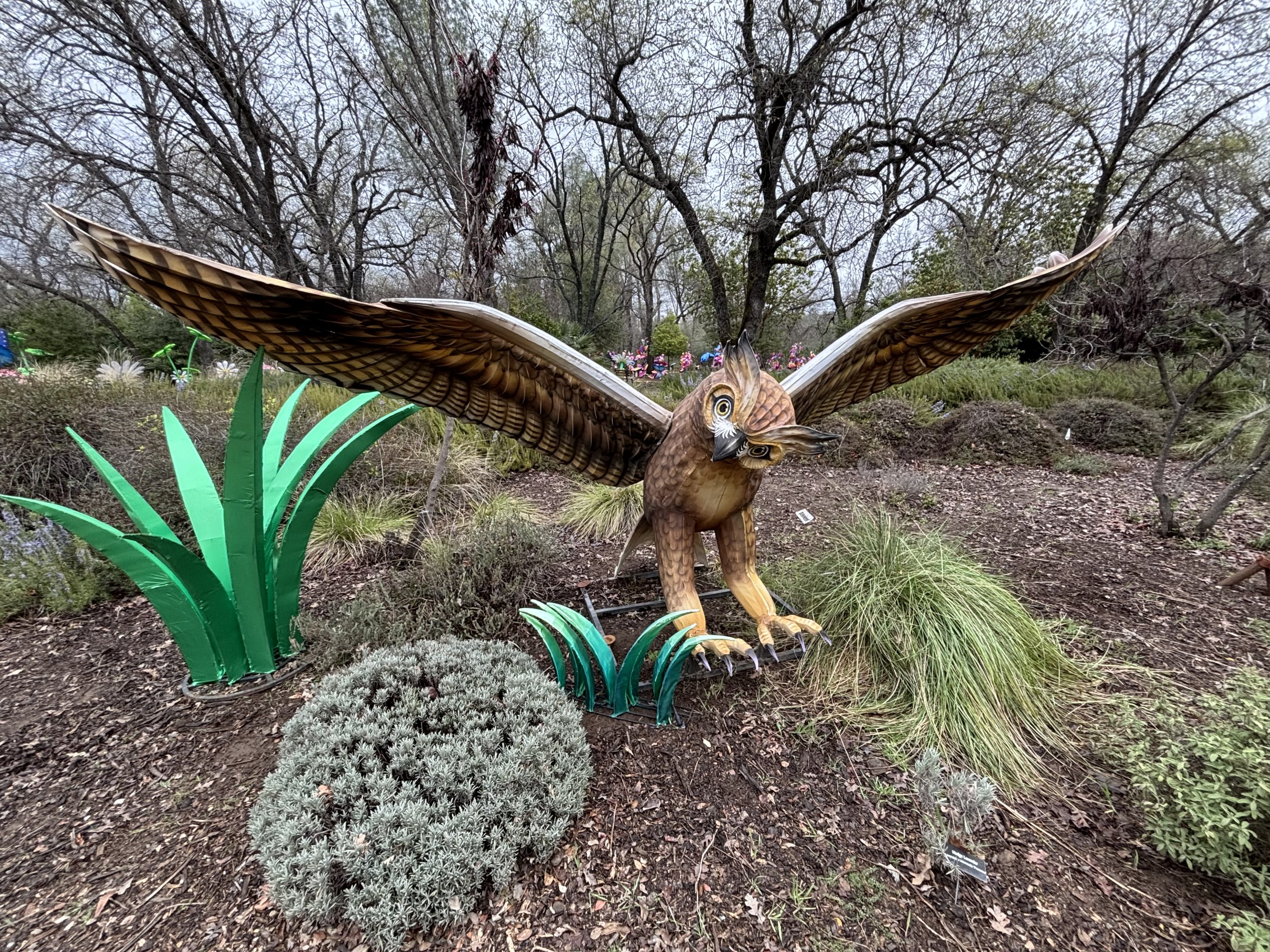 Glowing Wild Lantern Festival