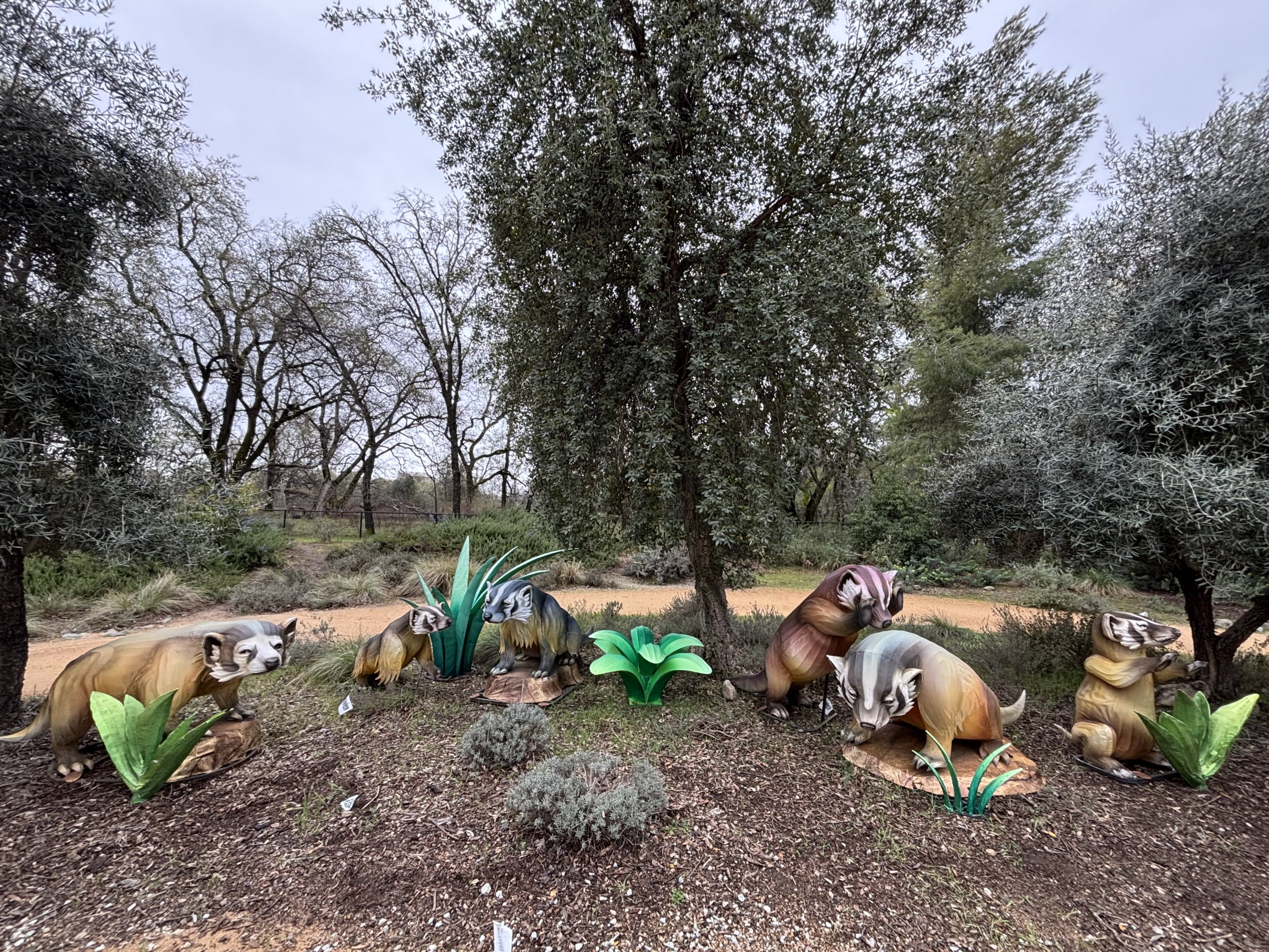 Glowing Wild Lantern Festival